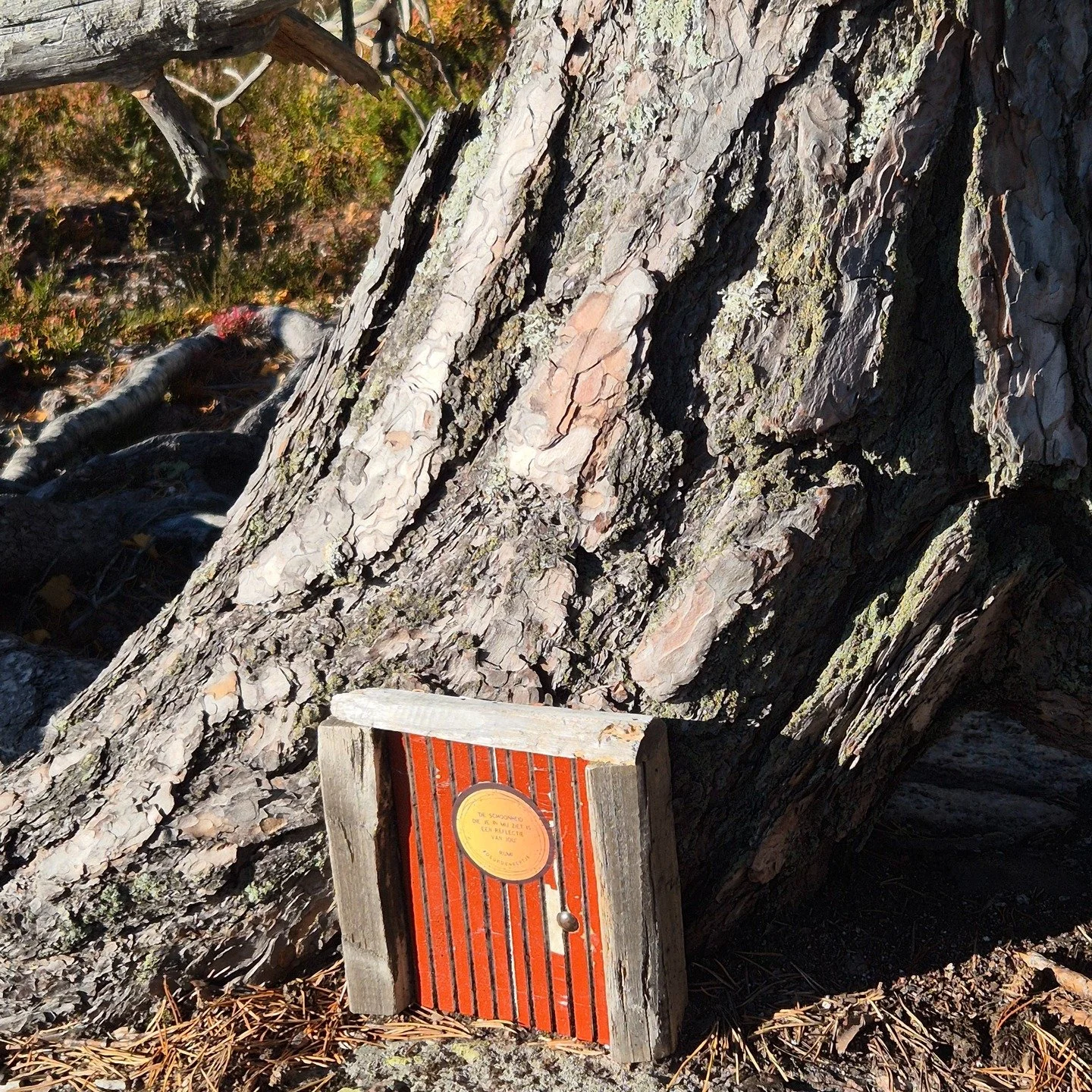 Trollhouse in Skuleskogens Nationalpark
#hiking #hikingadventure #outdoors #nature #nationalpark #trolls #skuleskogensnationalpark #HighCoast #högakusten #sweden