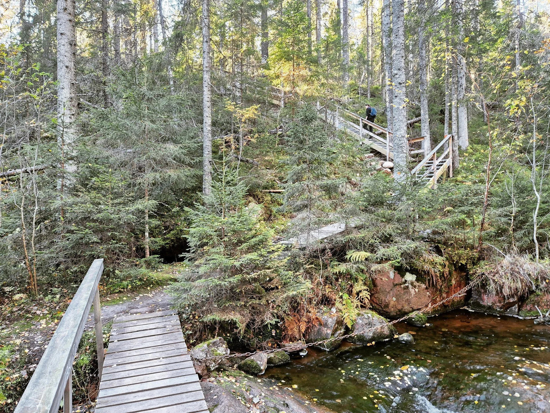 Hiking in Skuleskogens Nationalpark
#hiking #hikingadventure #outdoors #nature #nationalpark #bridge #stairs #skuleskogensnationalpark #HighCoast #högakusten #sweden