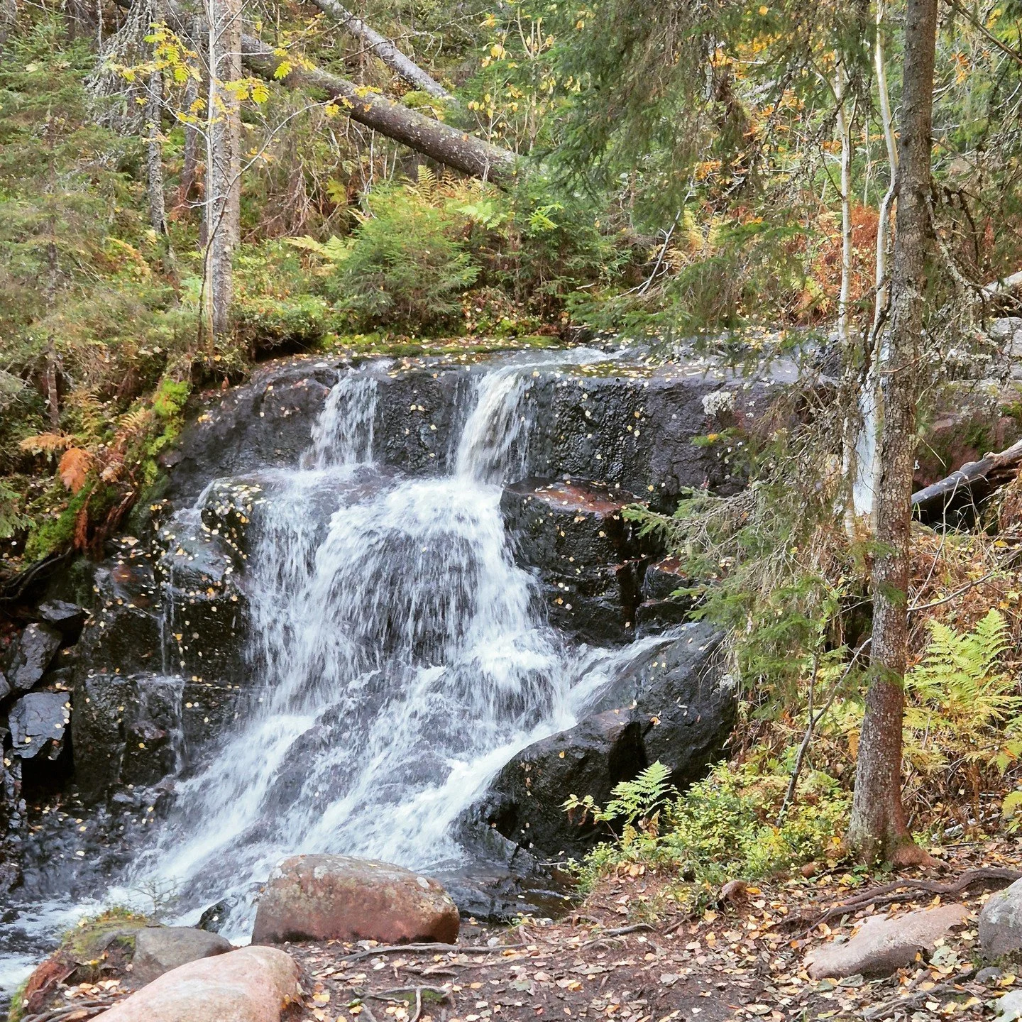 Hiking in Skuleskogens Nationalpark
#hiking #hikingadventure #outdoors #nature #nationalpark #waterfall #skuleskogensnationalpark #HighCoast #högakusten #sweden