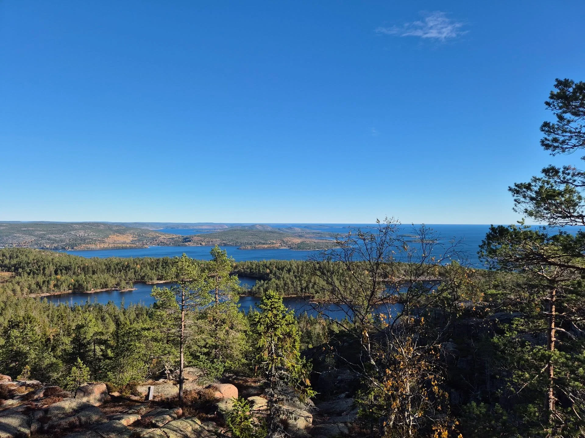 Another hike up to Slåttdalsskrevan in Skuleskogens Nationalpark. This time from the North entrance. A tough one this time, but absolutely gorgeous weather!
#hiking #hikingadventure #outdoors #nature #nationalpark #skuleskogensnationalpark #Hi