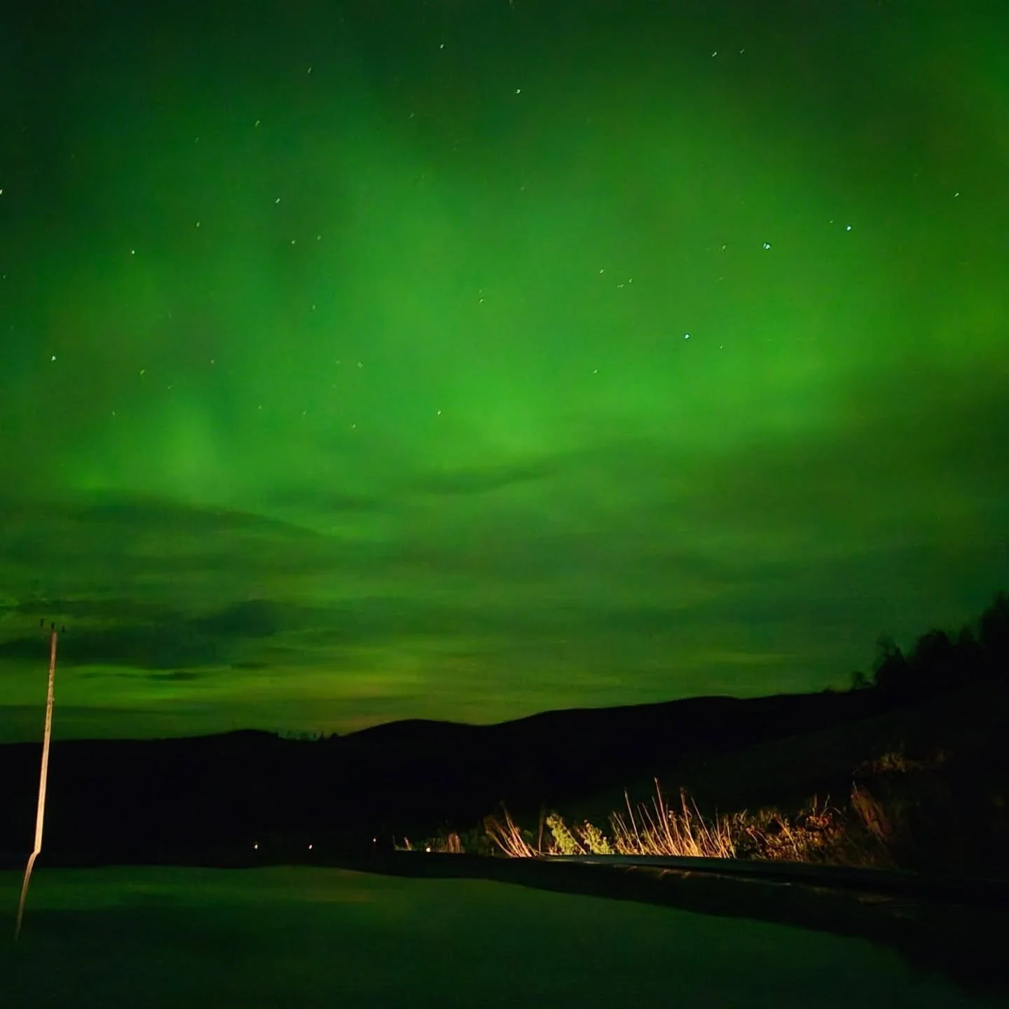 Oh yes!
#auroraborealis #aurora #northernlights #sweden #green #greensky #Sweden