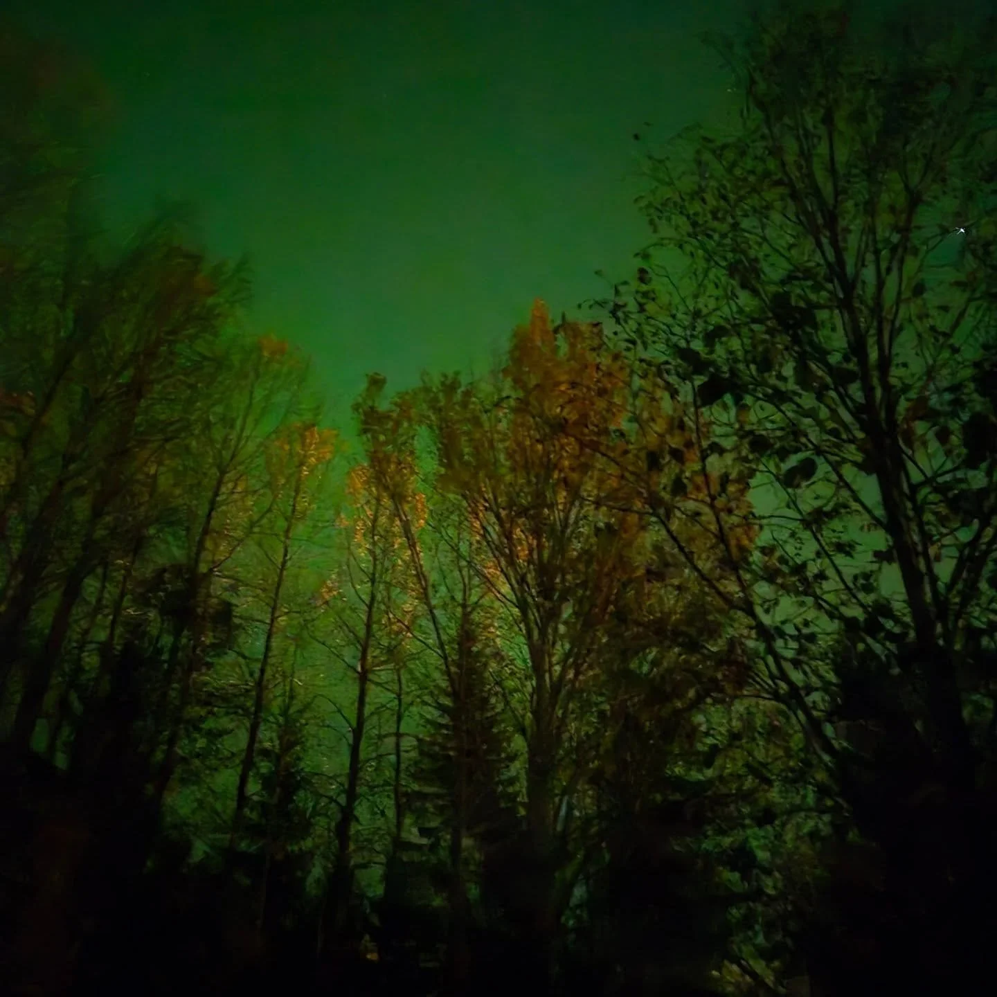 From the bedroom 😁
#auroraborealis #aurora #northernlights #home #Sweden