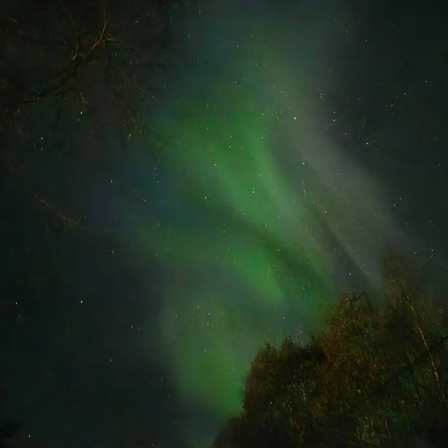 Right in front of the house 😁
#auroraborealis #aurora #northenlights #greensky #Sweden