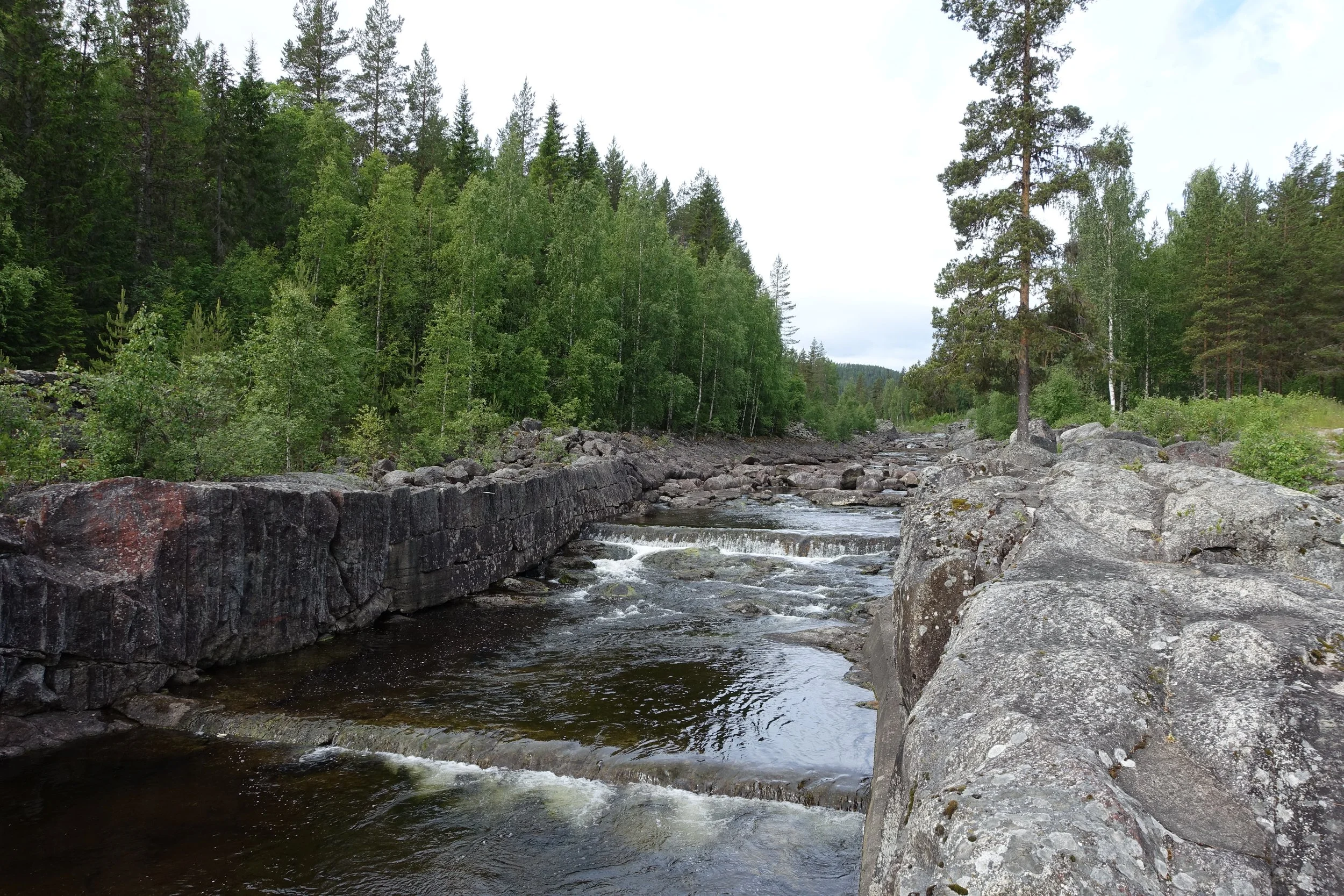 DSC07575.JPG