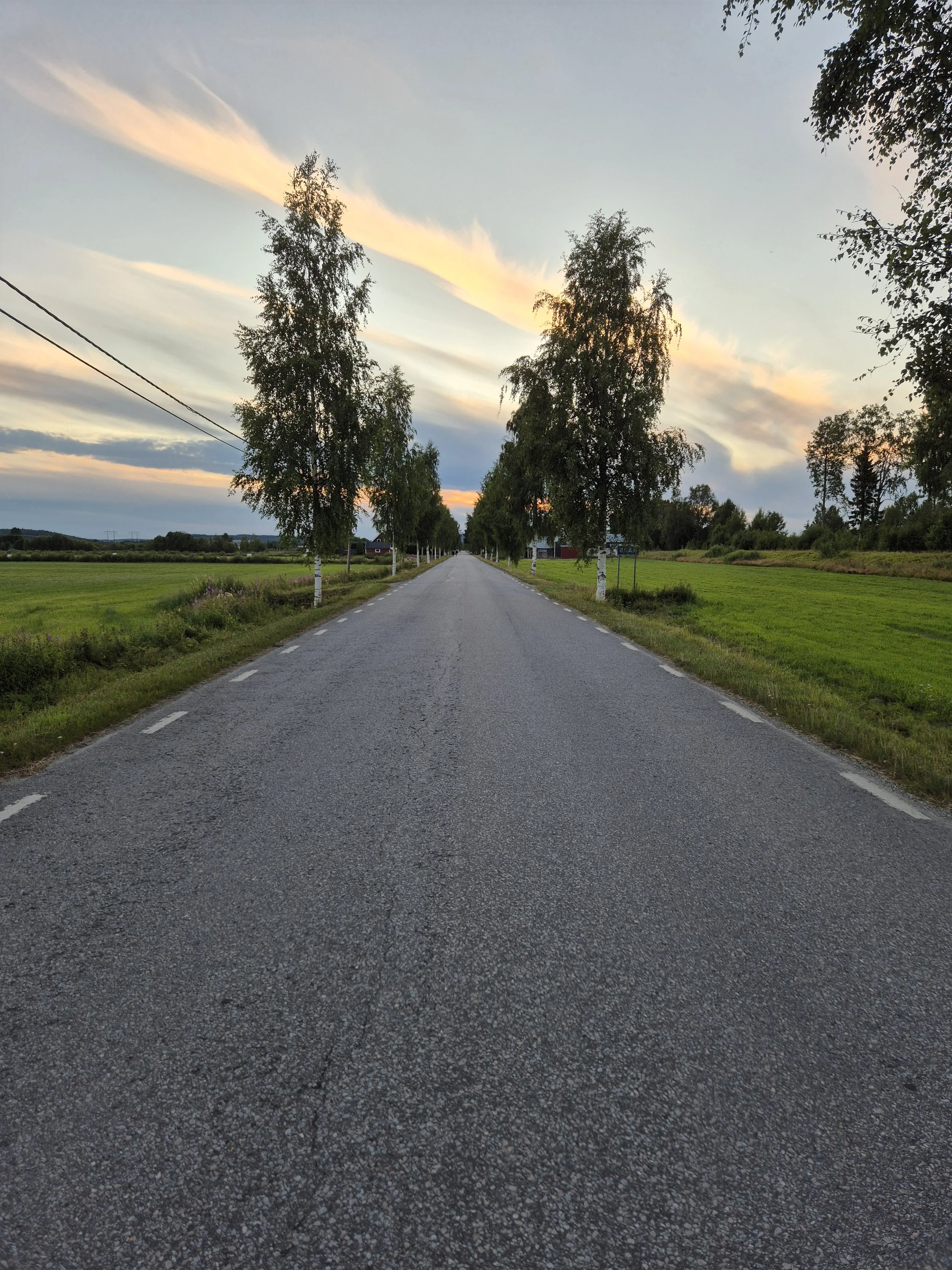 Brånsjön Nature Reserve in Sweden
