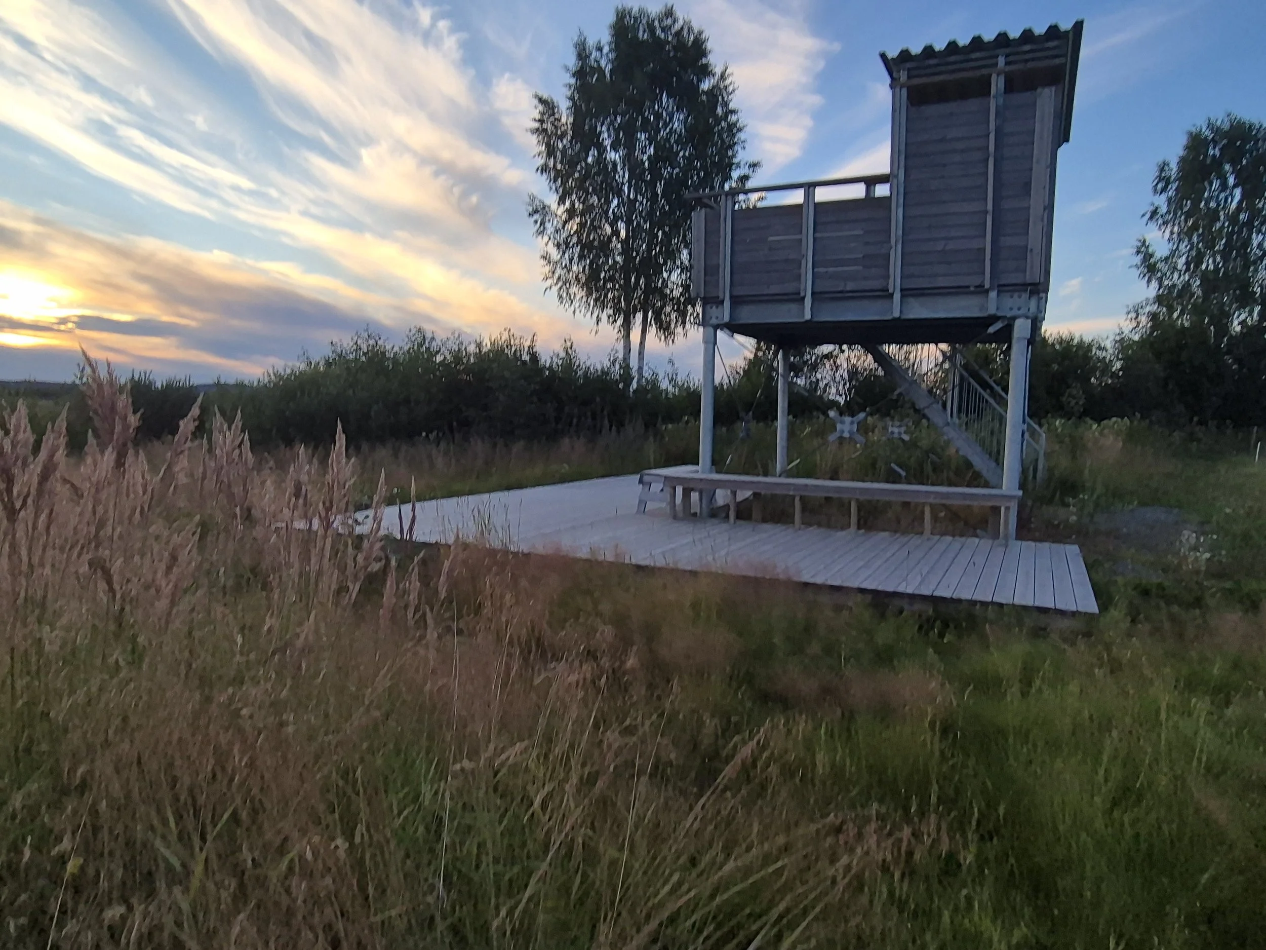 Brånsjön Nature Reserve in Sweden