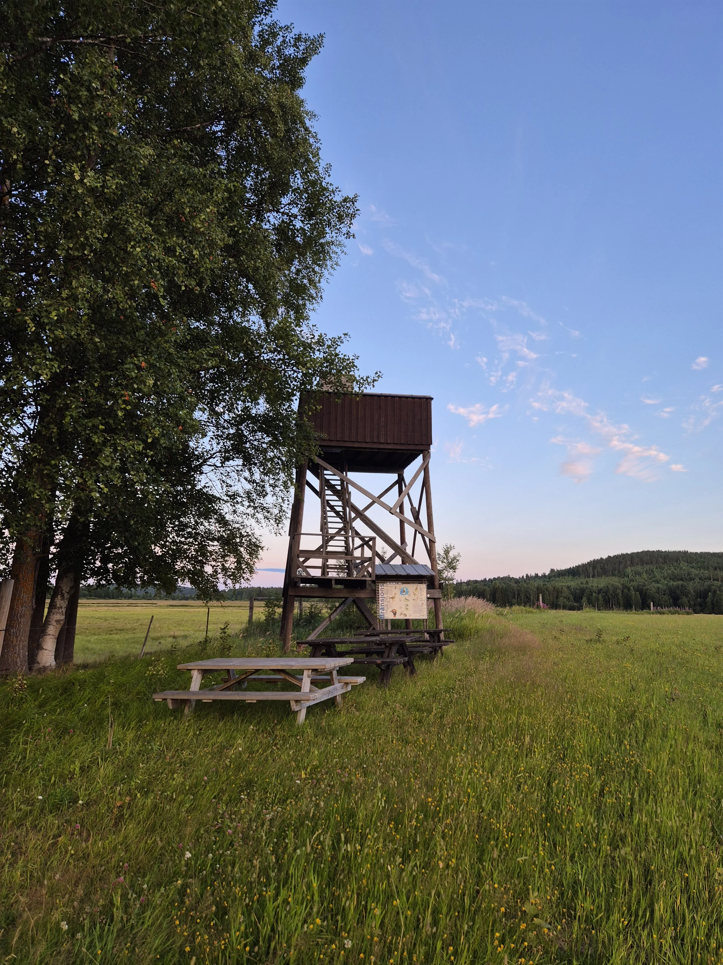 Birdwatching tower at Brånsjön Nature Reserve in Sweden