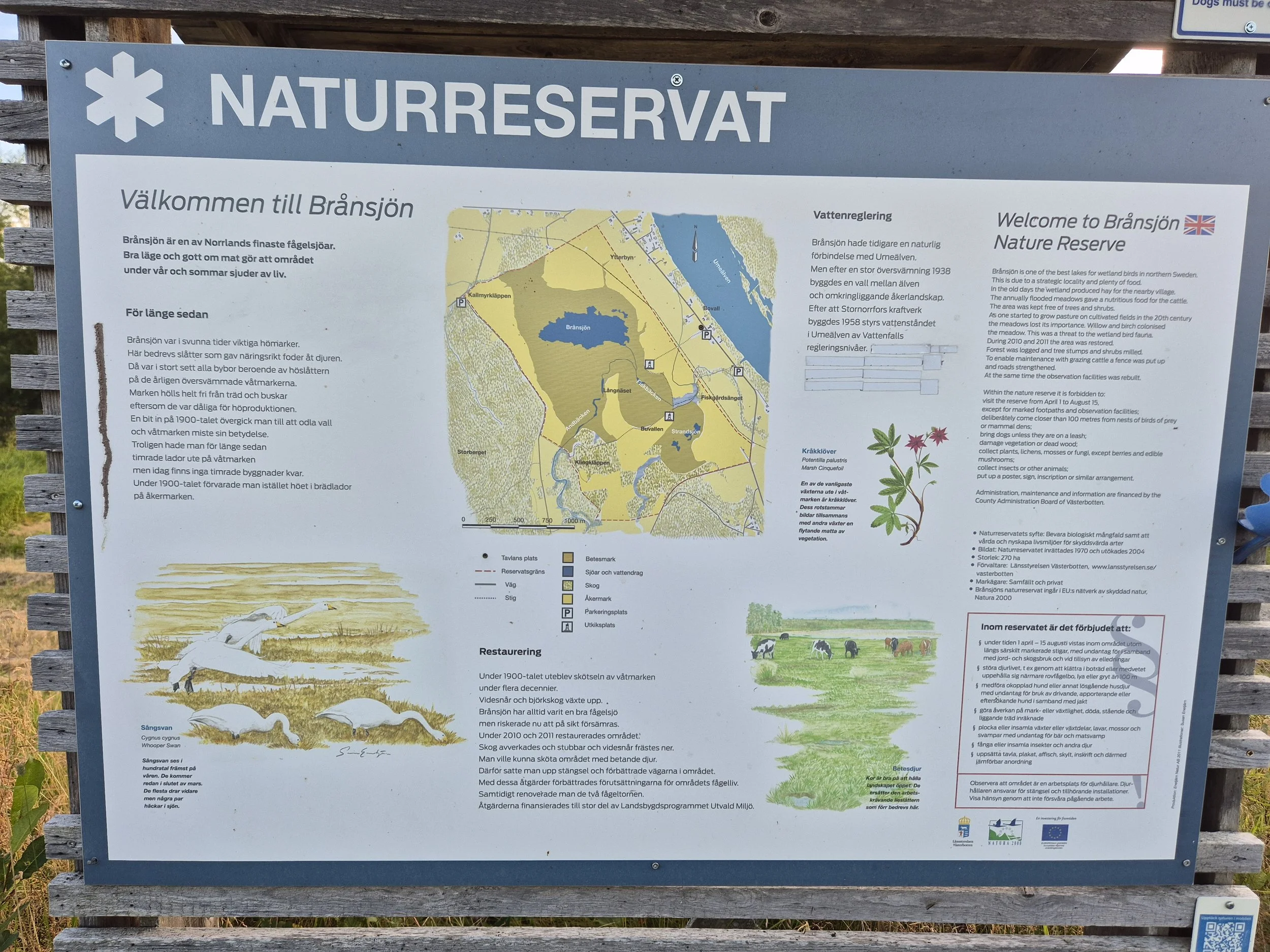 Brånsjön Nature Reserve in Sweden