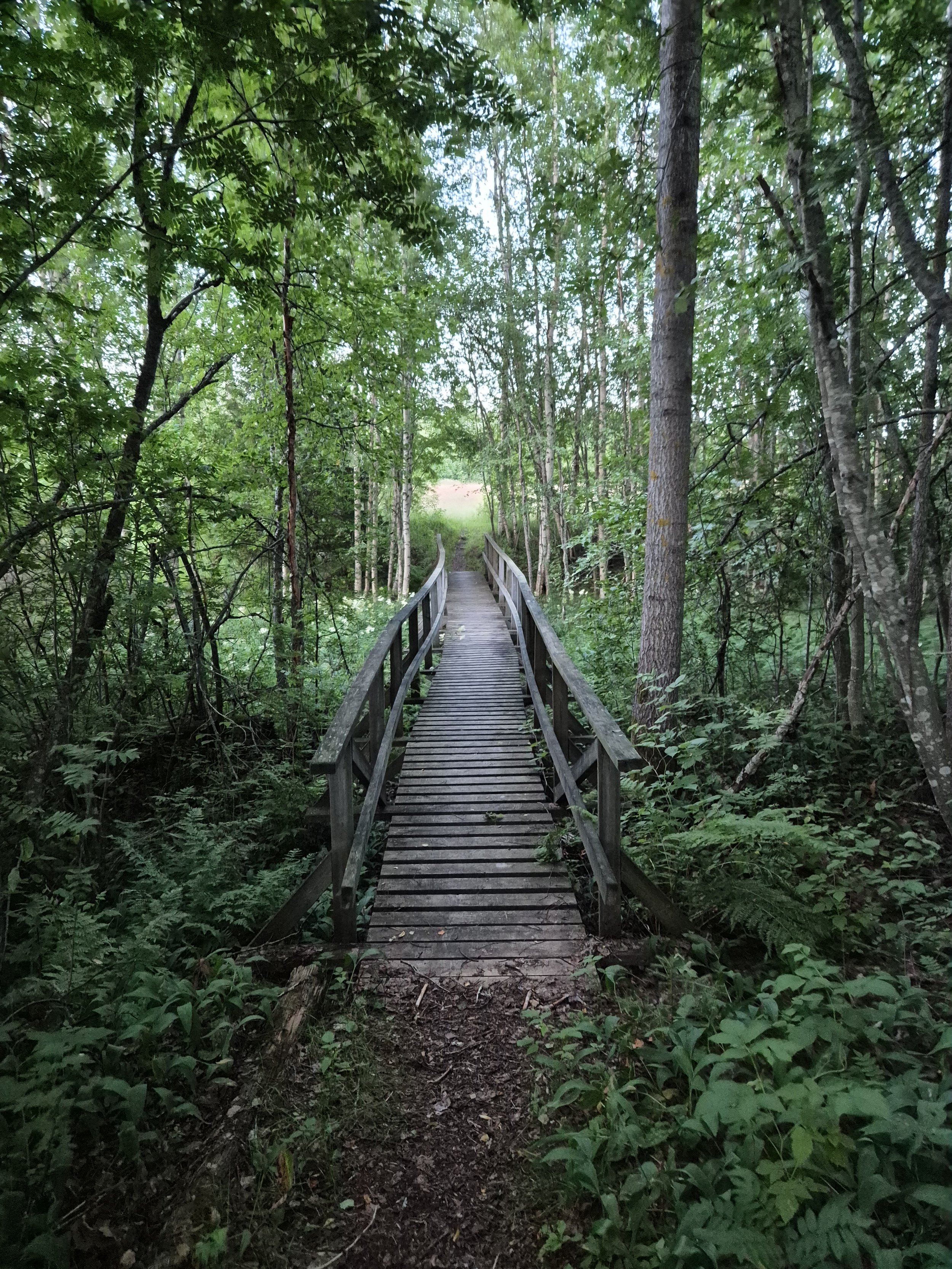 Brånsjön Nature Reserve in Sweden