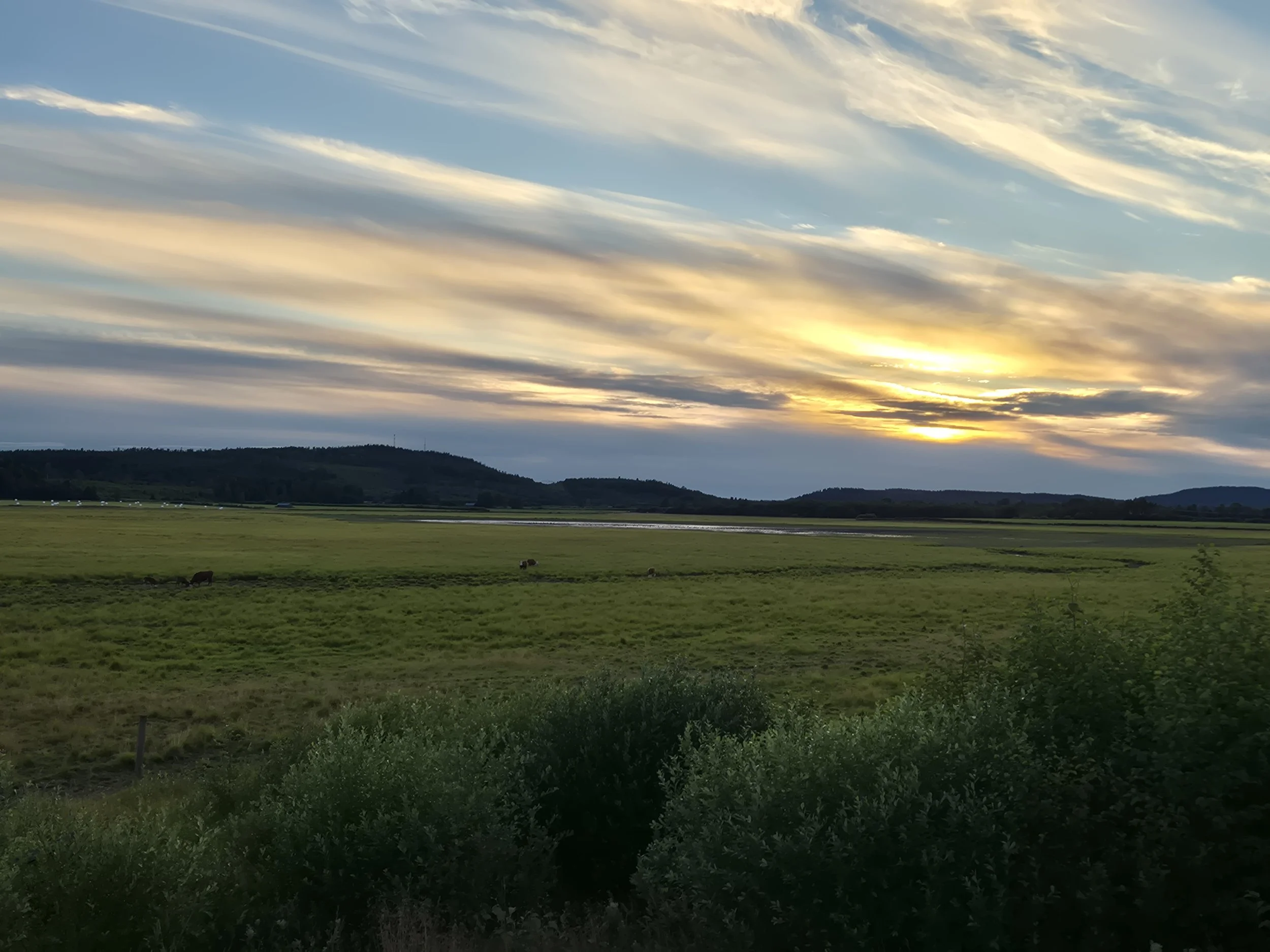 Brånsjön Nature Reserve in Sweden