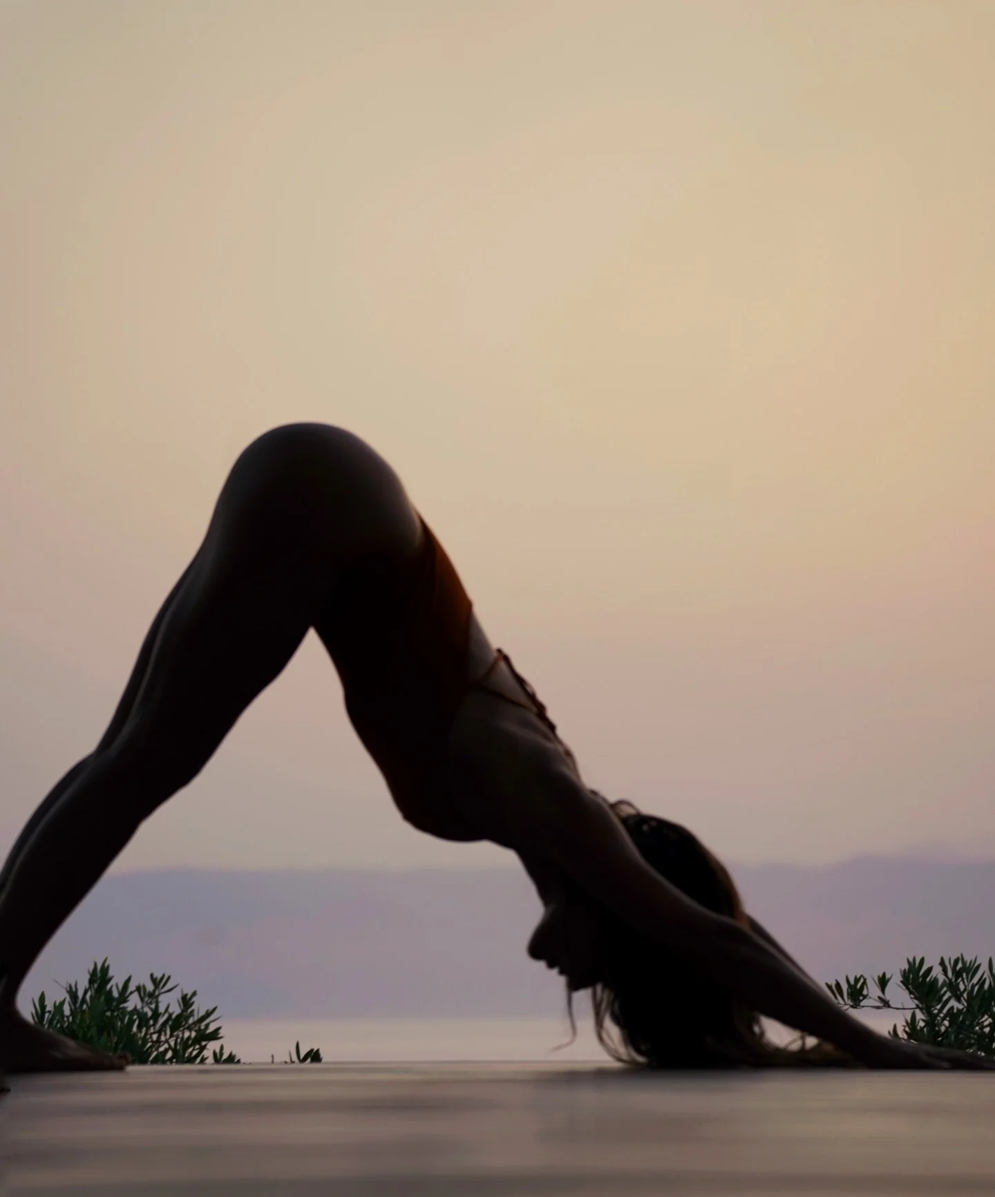 Downward Dog reminds us that even the most familiar shapes can hold the deepest lessons.
.
Have you stepped on your mat this week?