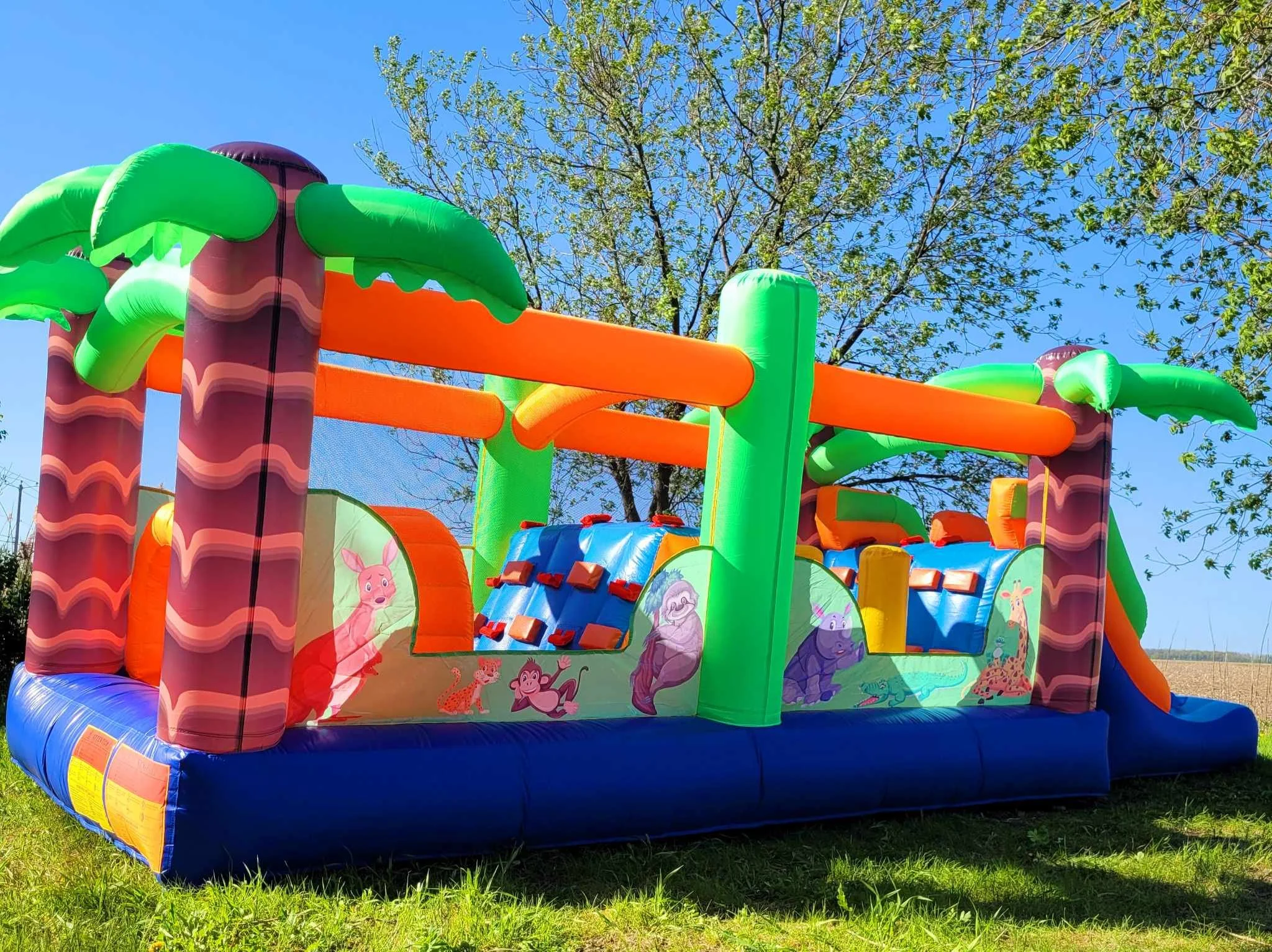 Bouncy obstacle animals theme 