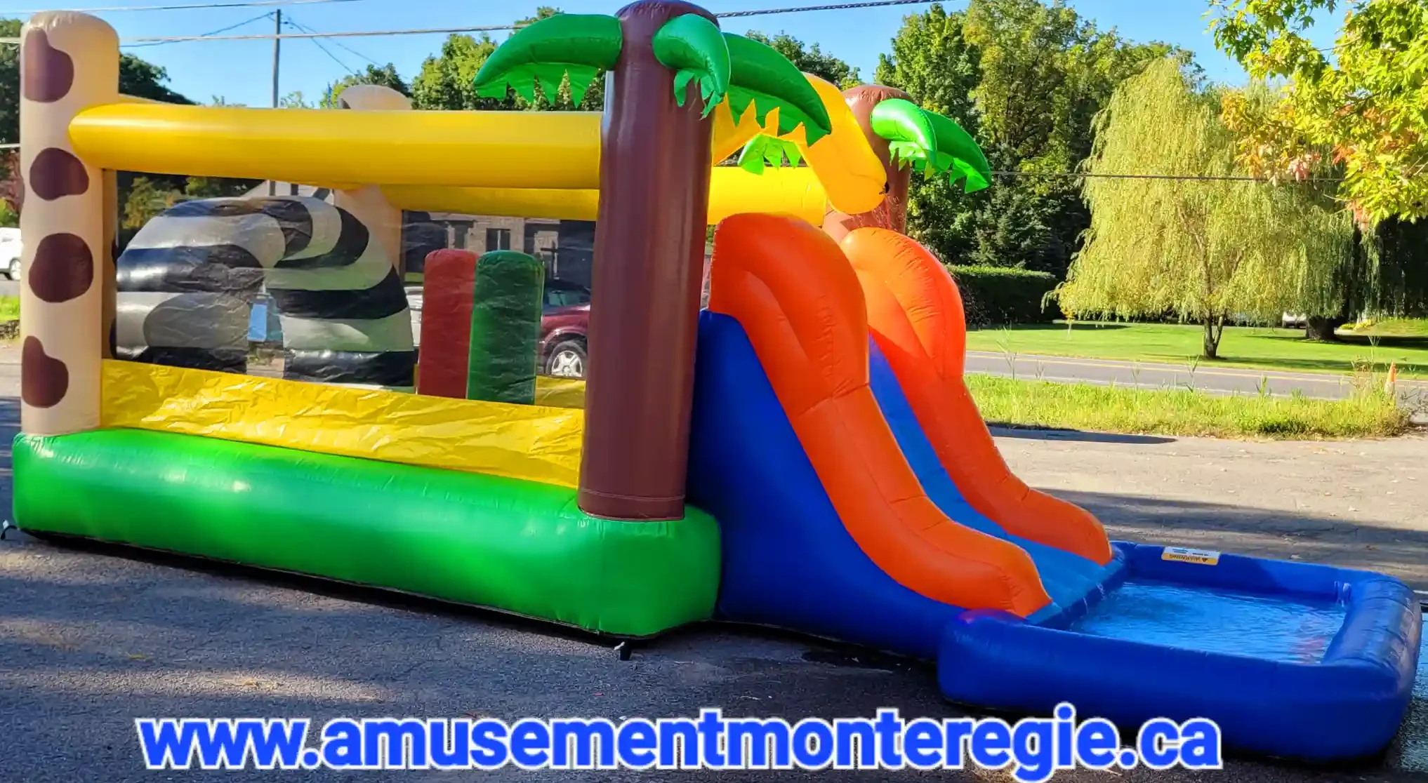Course palmier gonflable1