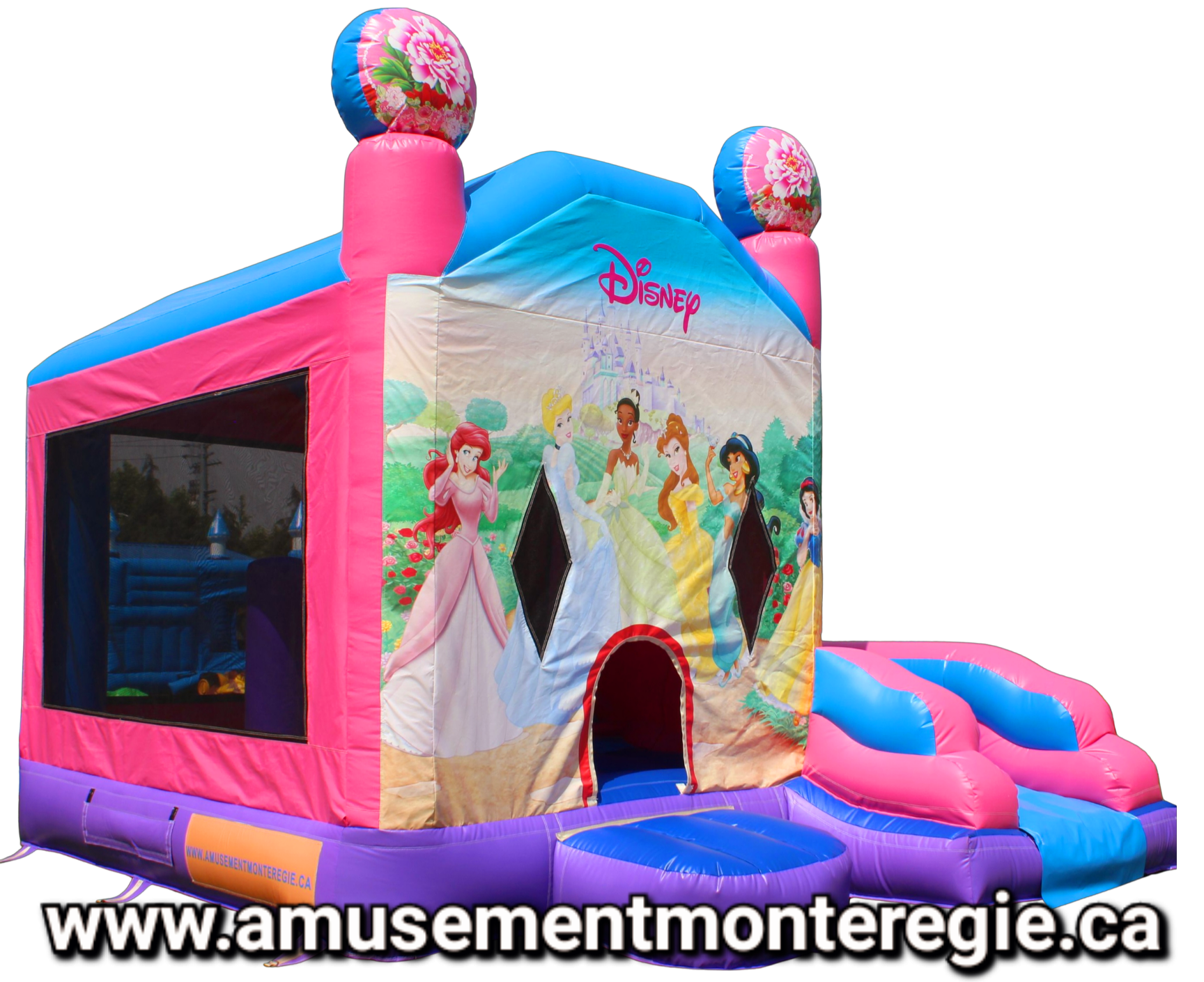 Geant-chateau-princesse1