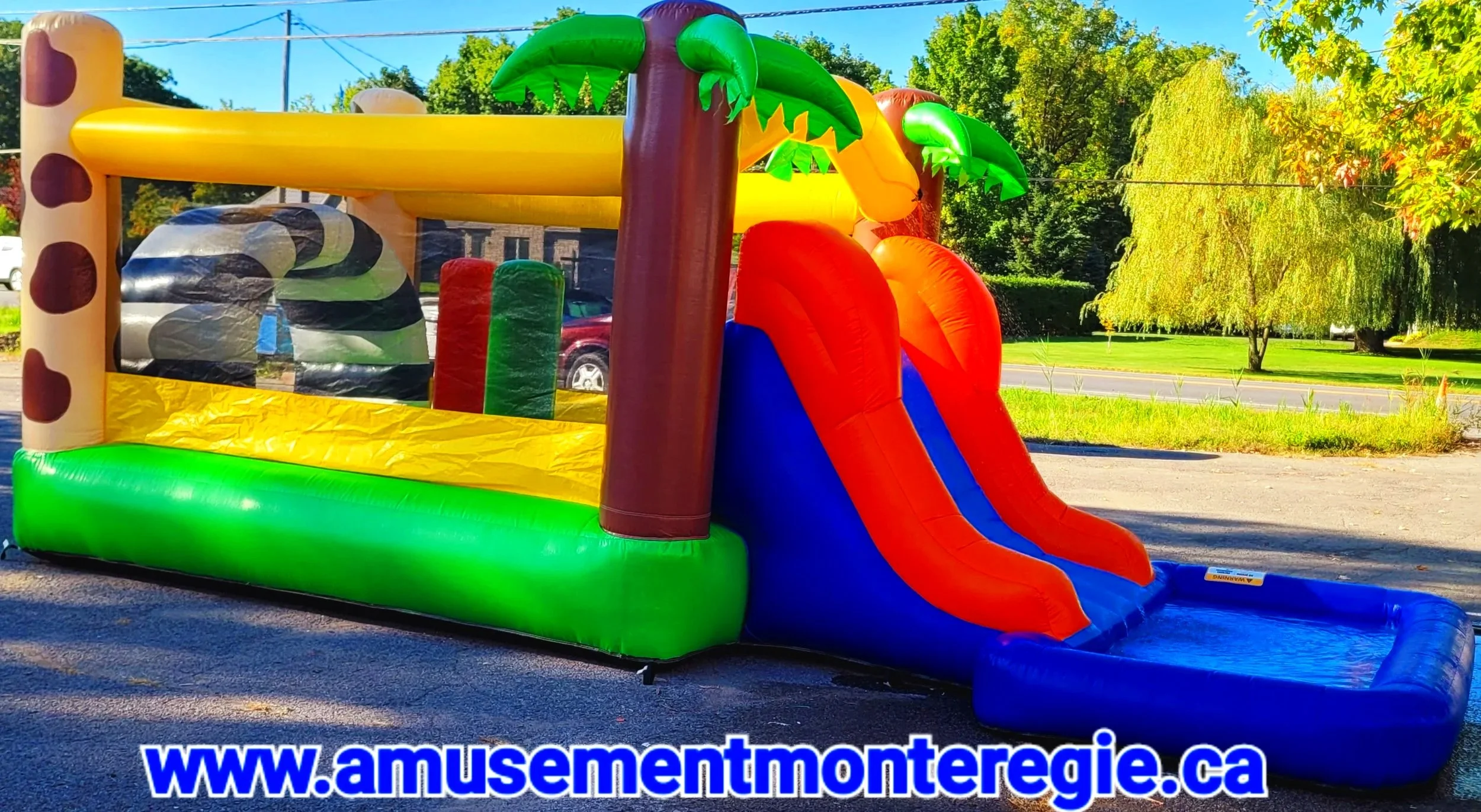 Course-palmier-gonflable1