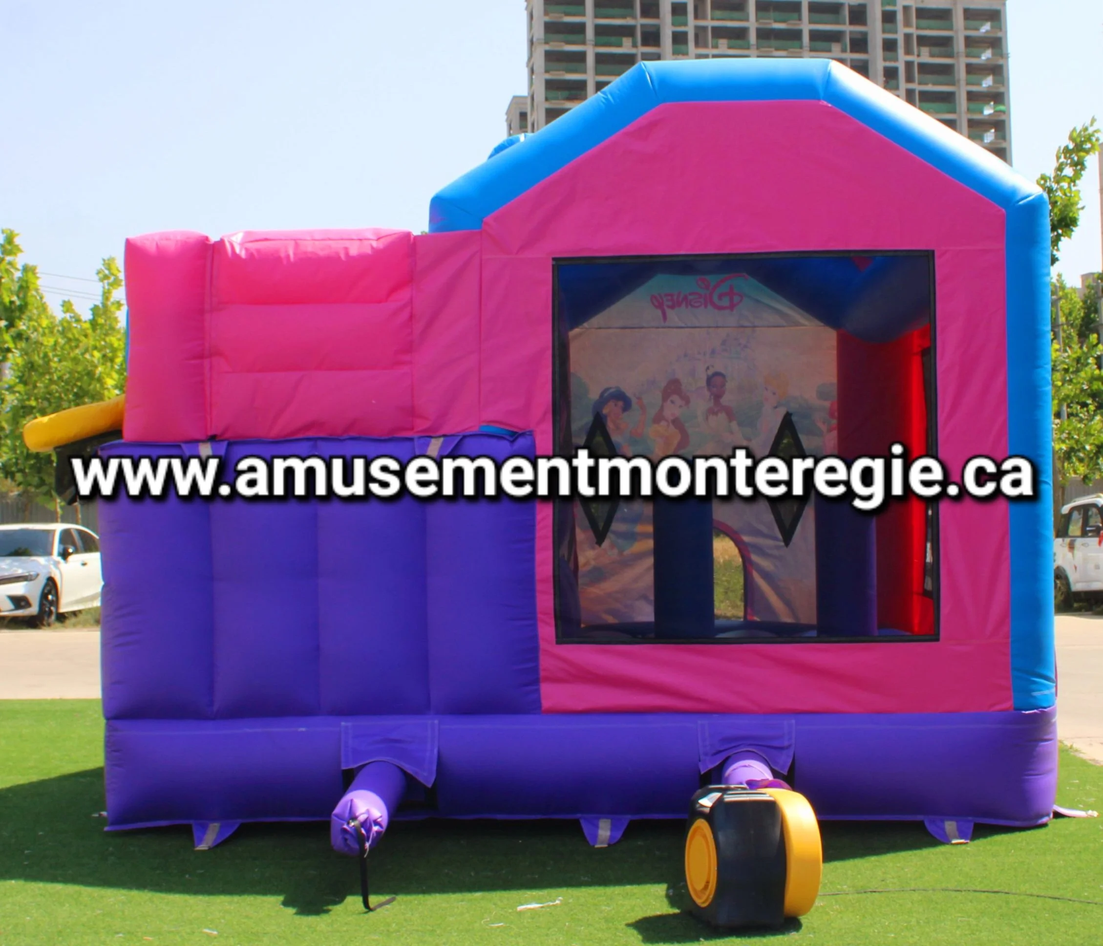 Géant château princesse1