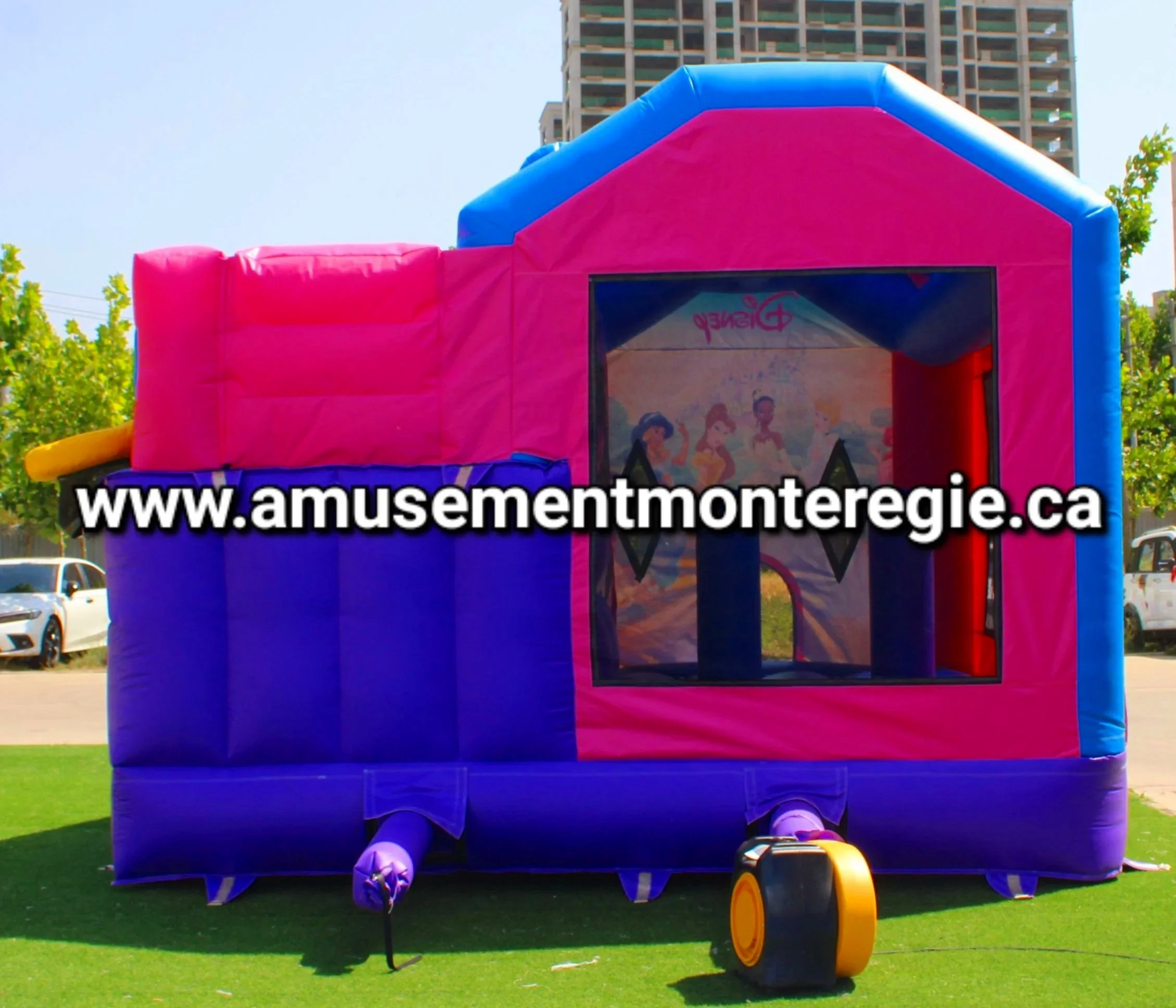 Géant-château-princesse1