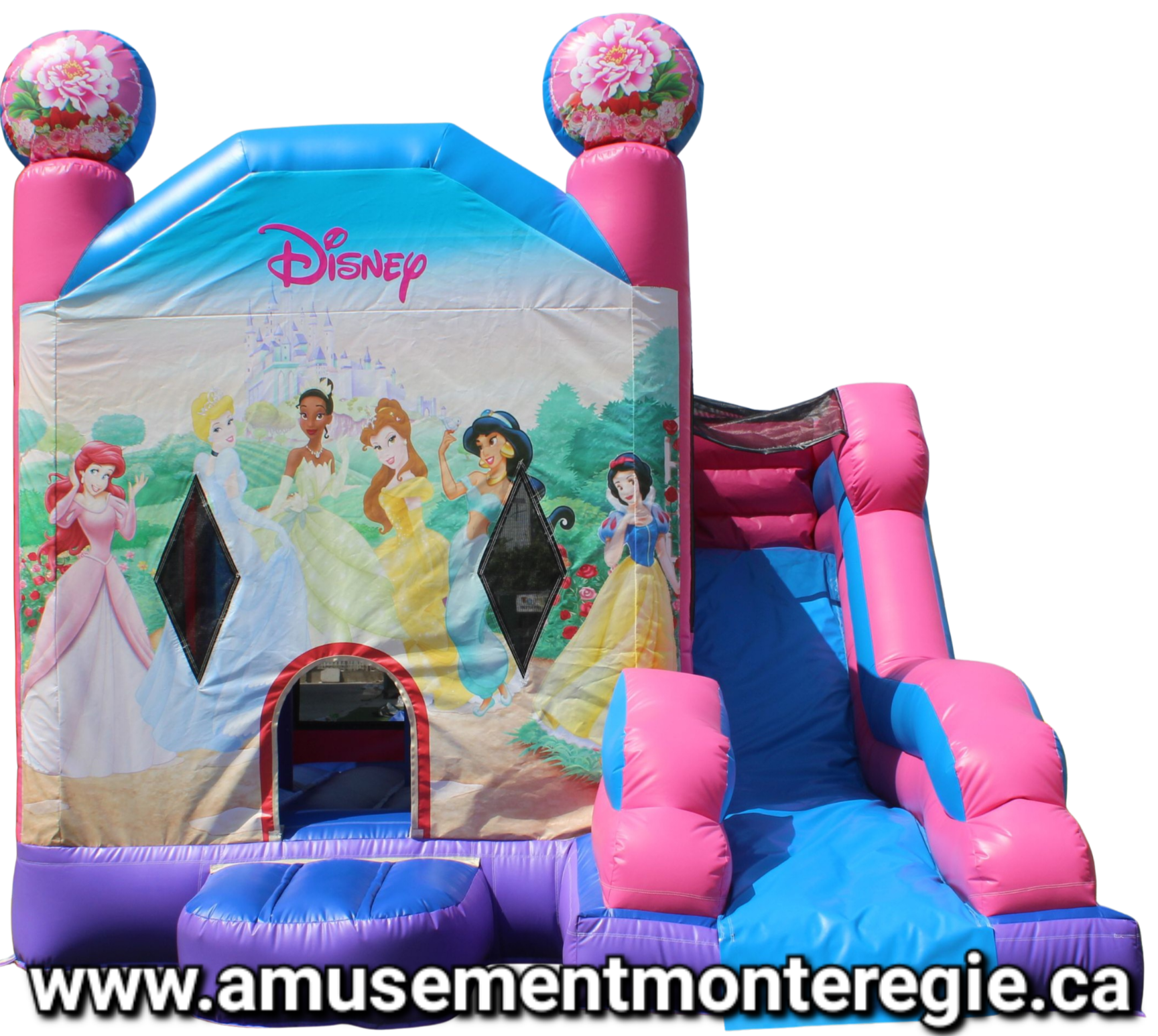 Geant chateau princesse