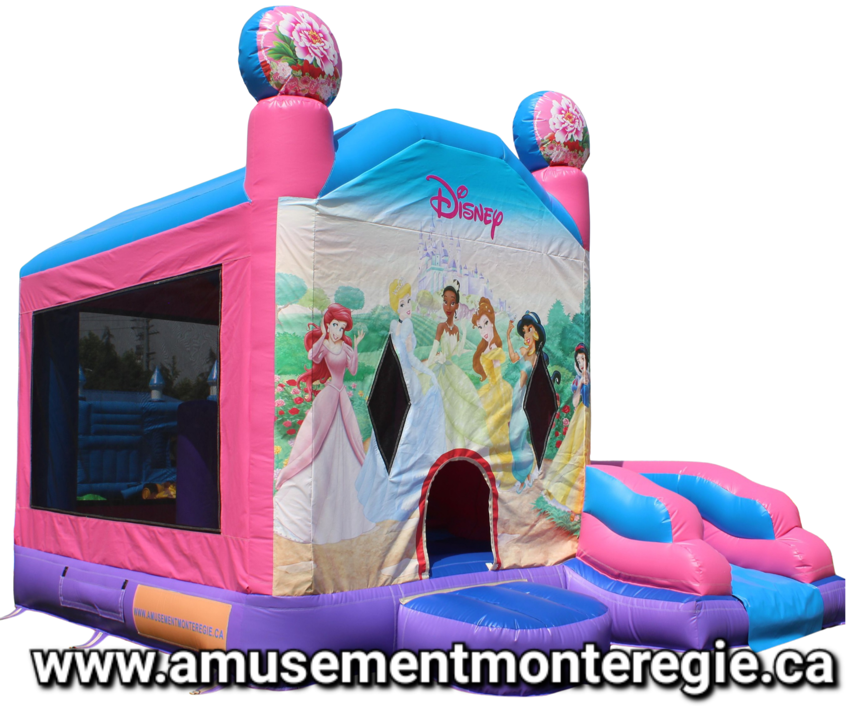 Geant chateau princesse1