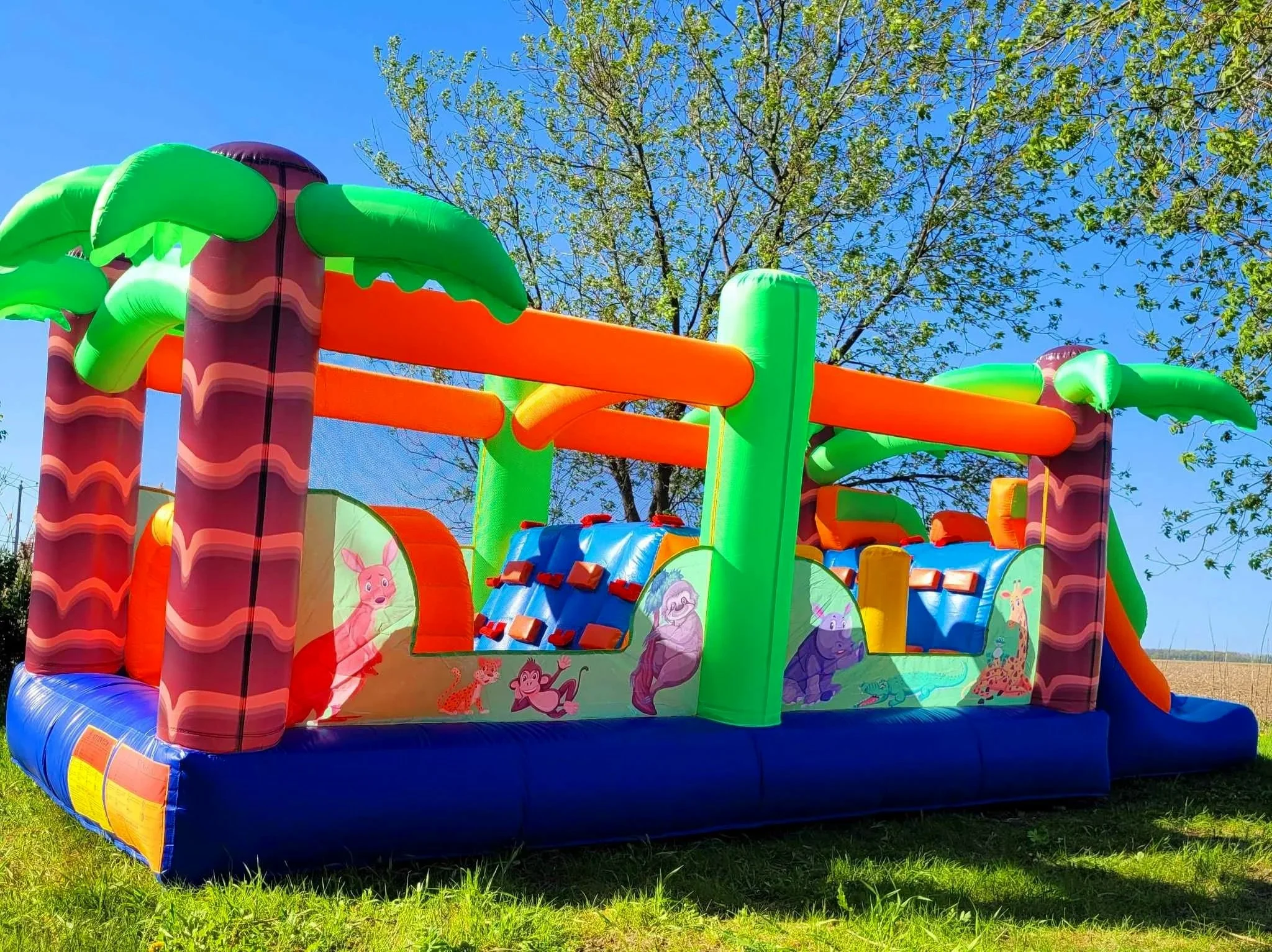 Bouncy obstacle animals theme 