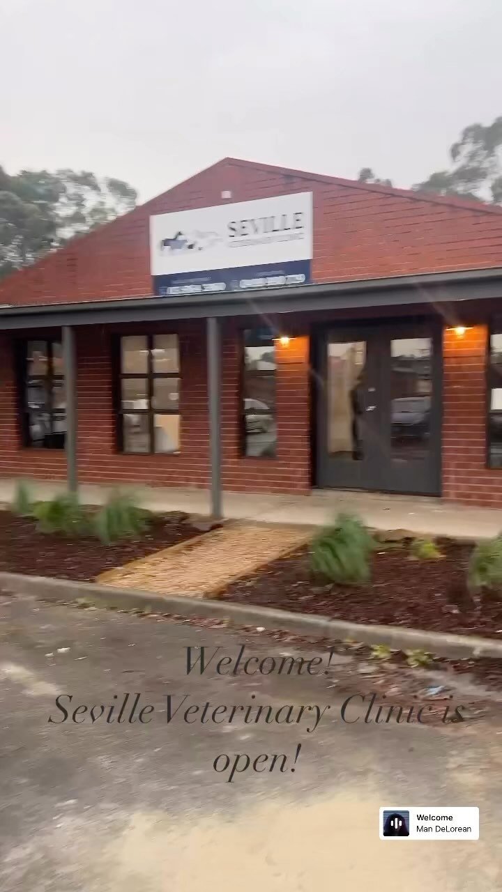 Yarra Valley Veterinary Surgery