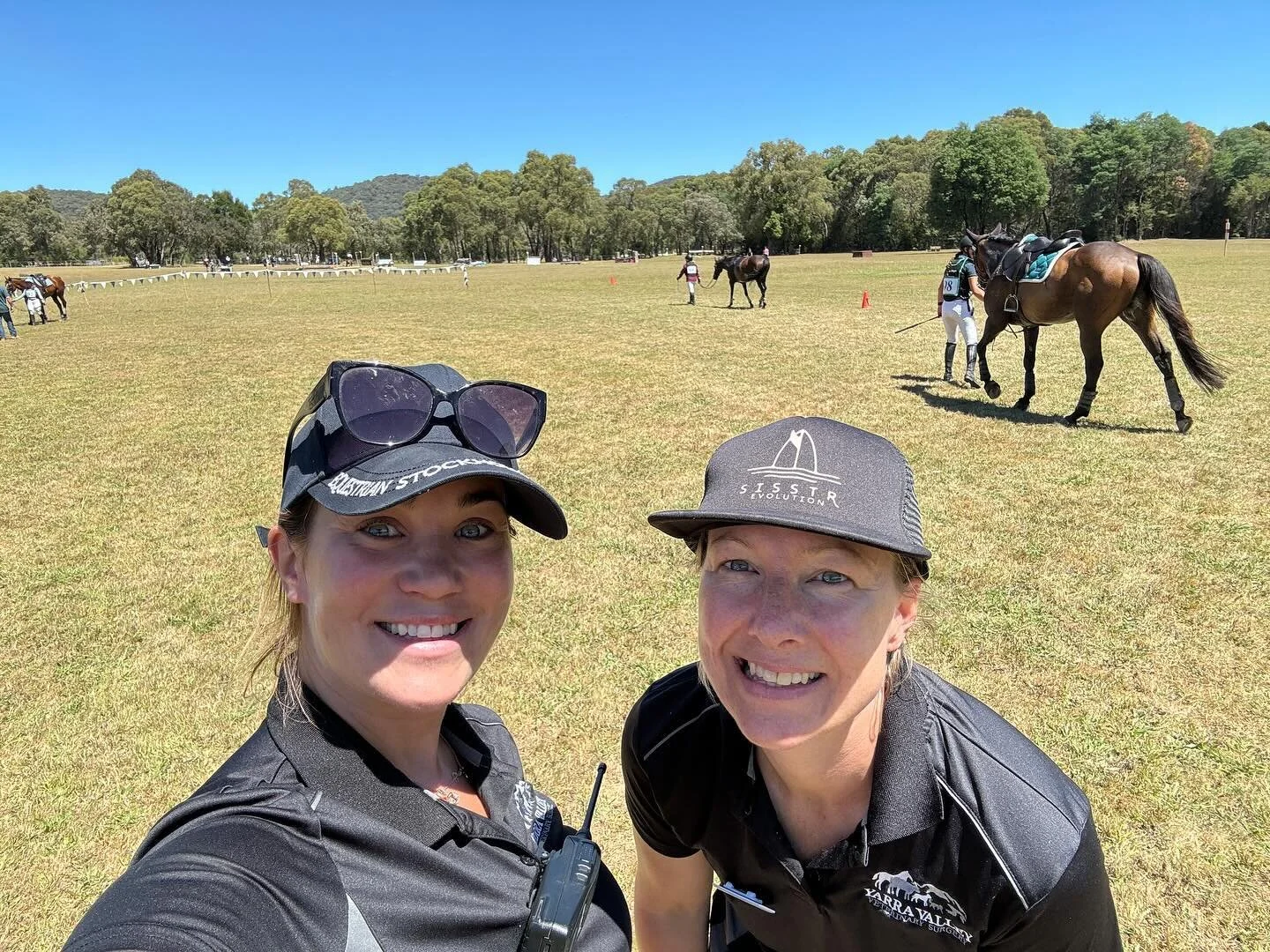 Seville Veterinary Clinic Yarra Valley Veterinary Surgery