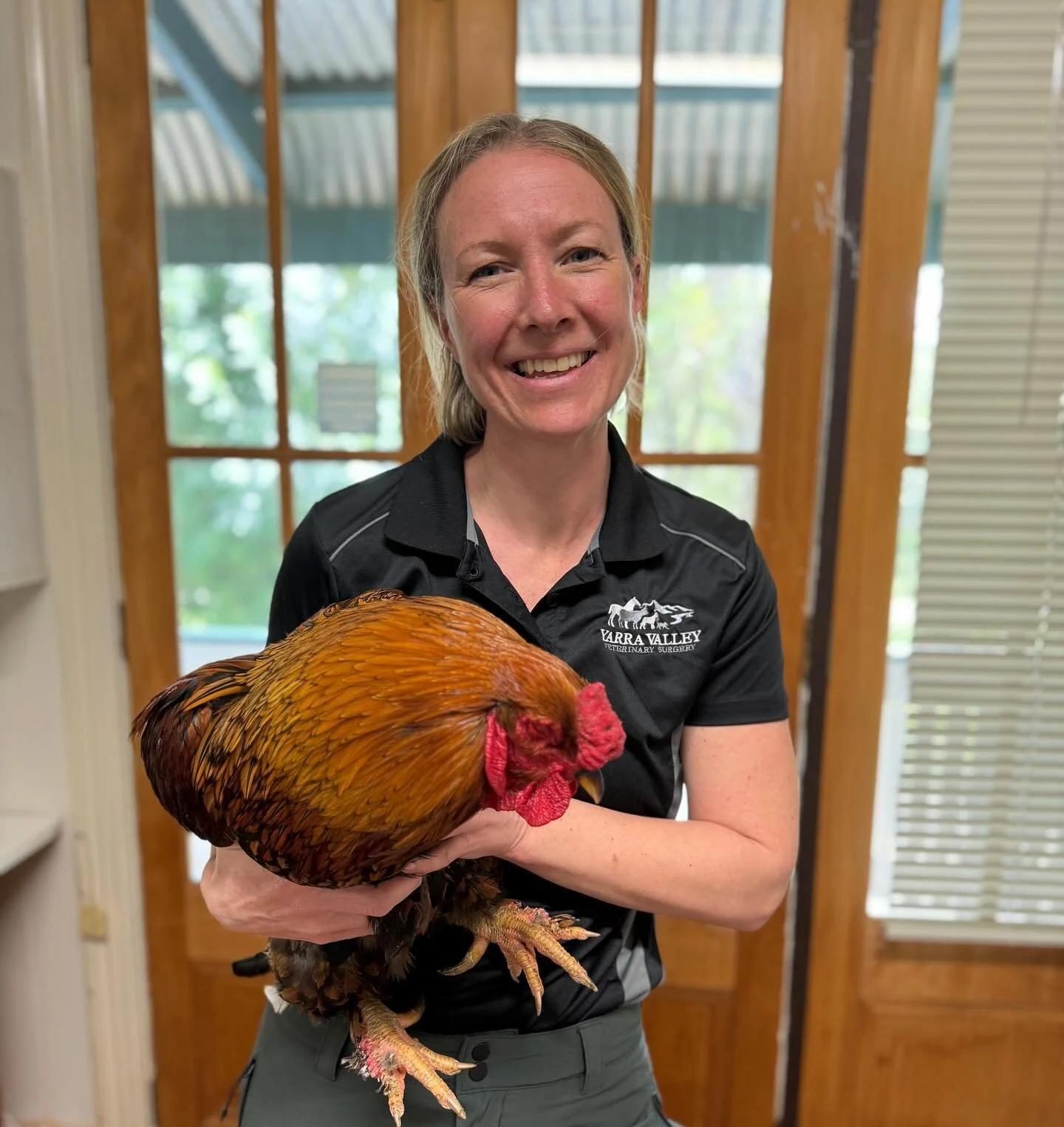 Seville Veterinary Clinic Yarra Valley Veterinary Surgery