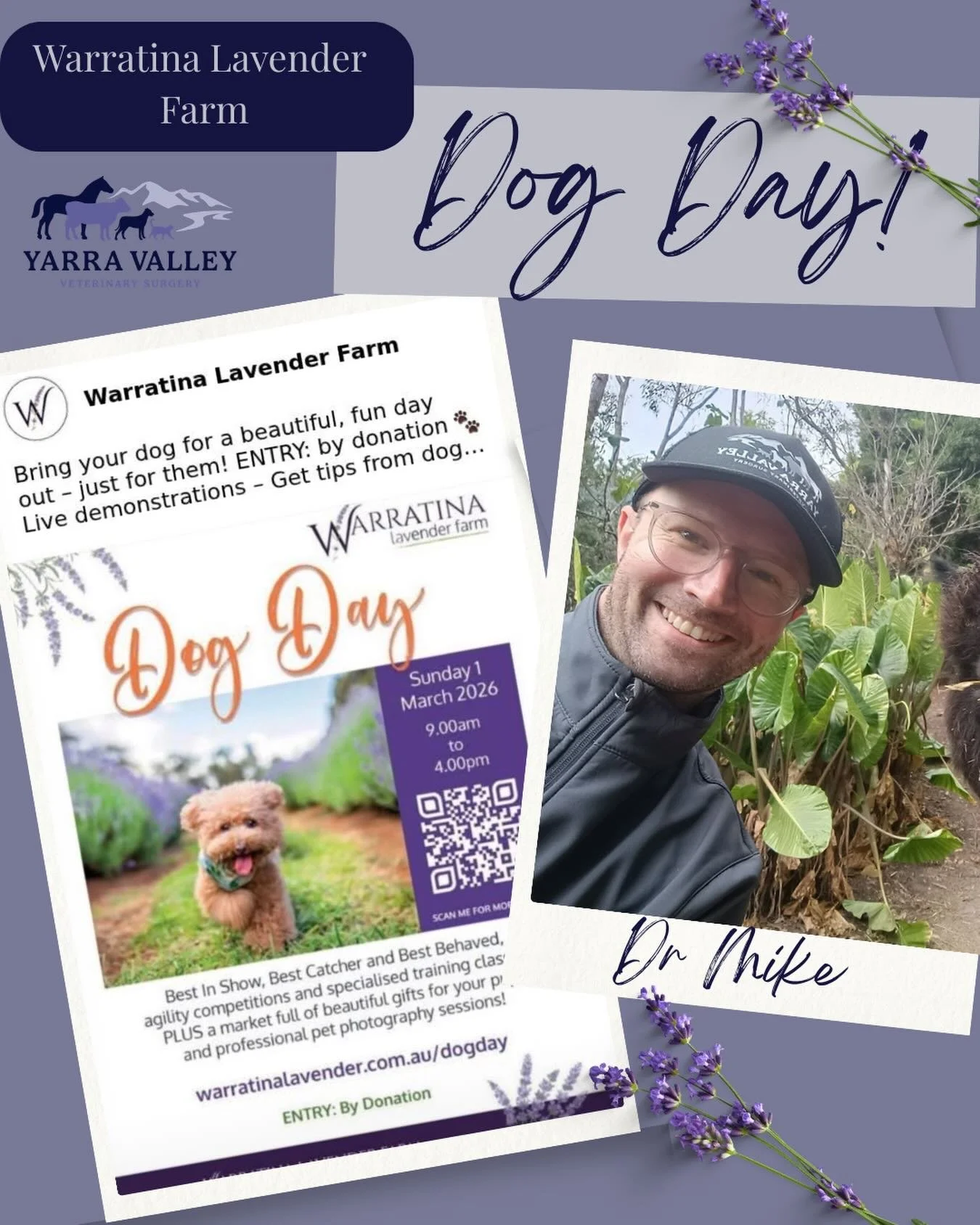 🪻 Come see Dr Mike tomorrow at @warratinalavenderfarm Dog Day!

Hell be talking about what it&rsquo;s like to be a vet, and give you a tip or two about having a dog! 🐶 

Go to their social media for more info!!
 
#dogday #vetlife🐾👩🏻&zwj;⚕️ #aday