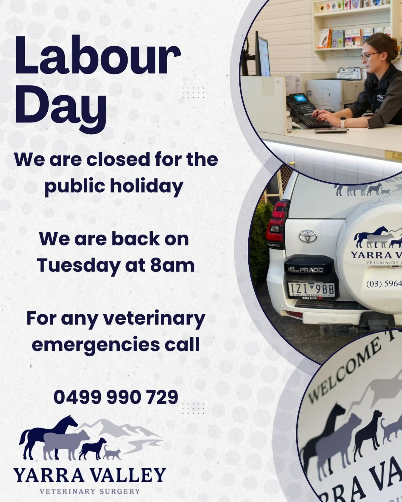Happy Long Weekend everyone!

We are back on Tuesday 8am

For any veterinary emergencies please call our vet on call 0499 990 729 

#veterinarians #sevillevet #yarravalleyvet #emergencyvet