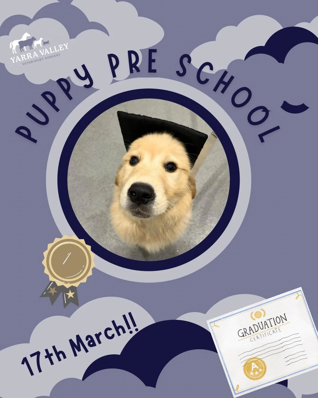 🐶 PUPPY PRE-SCHOOL! 🐶

Our popular puppy pre school starts on March 17th with our nurse Mik. 

4 weeks of obedience, health information, nutritional information and socialisation! Come along with your puppy!

🗓️ Mondays 7:15-8:15pm for 4 weeks. 
 