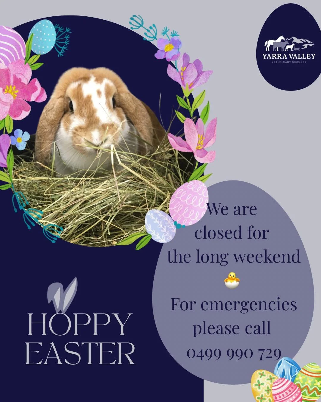 🐣🐰🌷~ HAPPY EASTER ~ 🌷🐰🐣

We will be enjoying a well earnt long weekend, but for any veterinary emergencies we have our vet on call, like always on
📲 0499 990 729

We will see you again Tuesday morning 8:00 ☺️

#vetclinic #weloveanimals #happy 