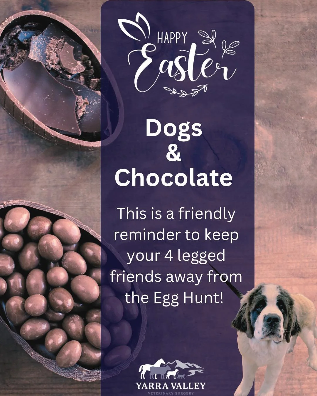 This Easter, keep your treats well out of your dogs&rsquo; reach as chocolate can cause some serious trouble for our four-legged friends.

Why is it dangerous?
Chocolate contains theobromine &ndash; safe for humans, but a big no-no for dogs. It can a