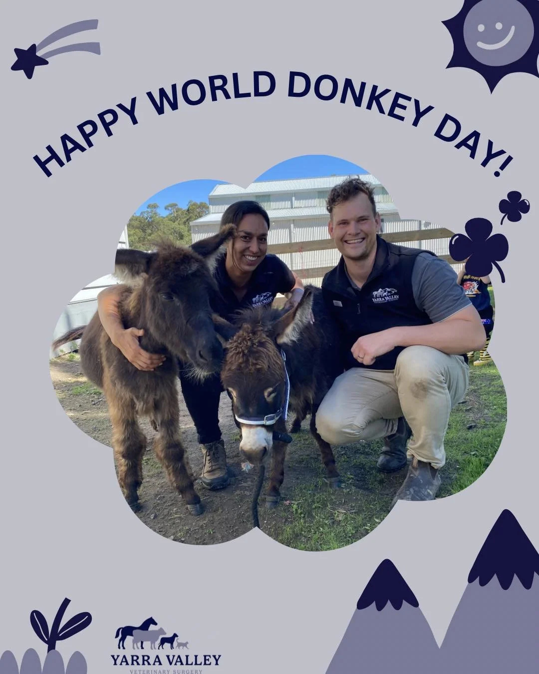World Donkey Day!! 🫏

Donkeys play an important role around the world &ndash; from supporting farming communities to providing companionship and therapy. They&rsquo;re hardy, intelligent animals, but they also need proper care to stay healthy and co