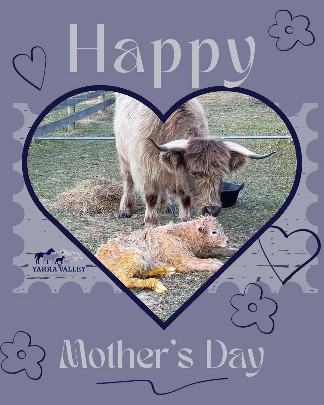🌸 HAPPY MOTHER&rsquo;S DAY 🌸

We hope everyone has a lovely day today! 

#vetclinic #mothersday #countryvets #sevillevet #socialmedia #yarravalleyvet