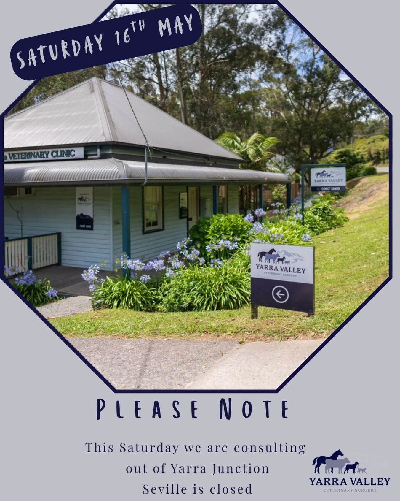 📣 This coming Saturday, May 16th, we will be working out of our Yarra Junction clinic. Seville will be closed, but junction is open 8-4pm.
Call 5964 3960 to book!