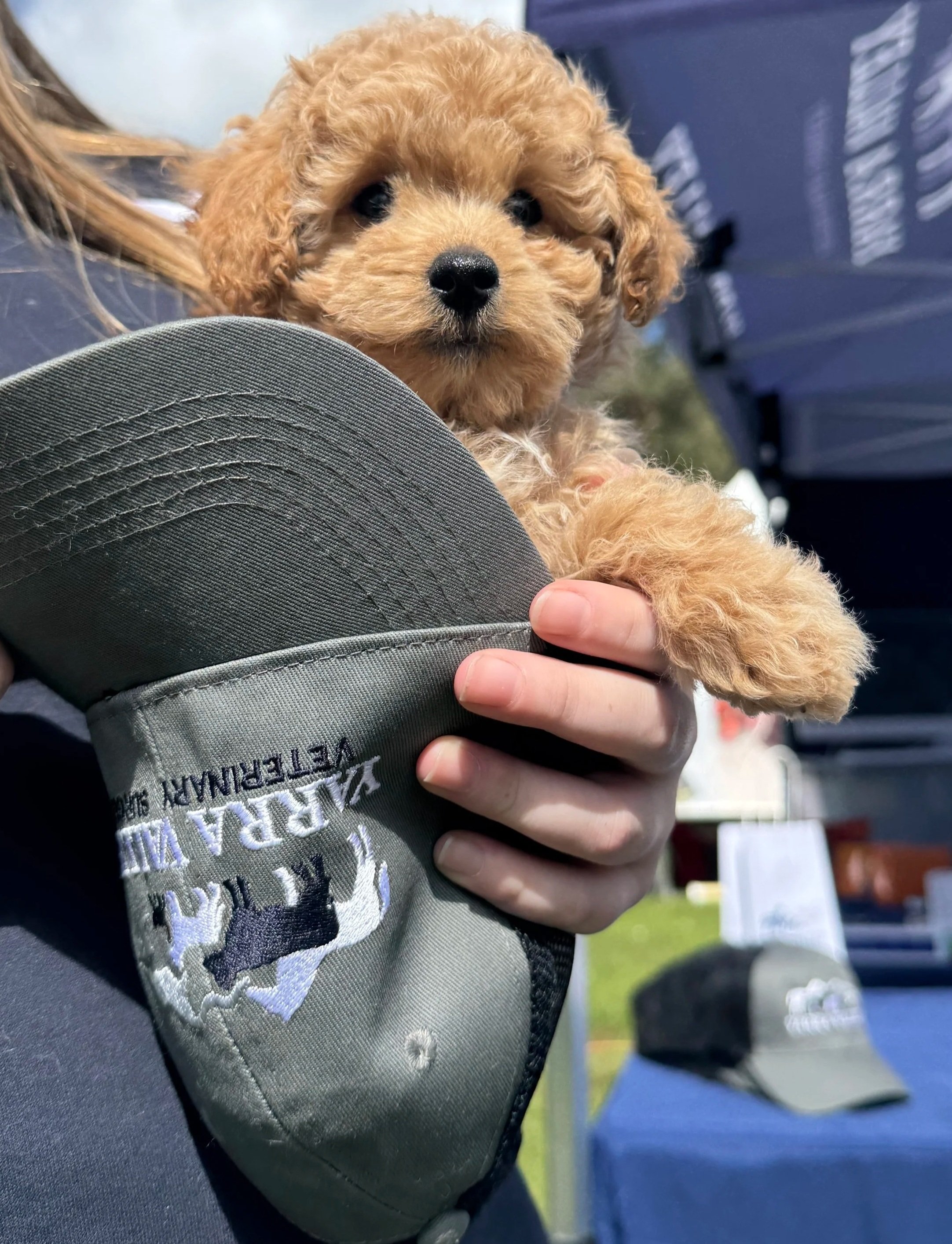 Personal Picture To Come