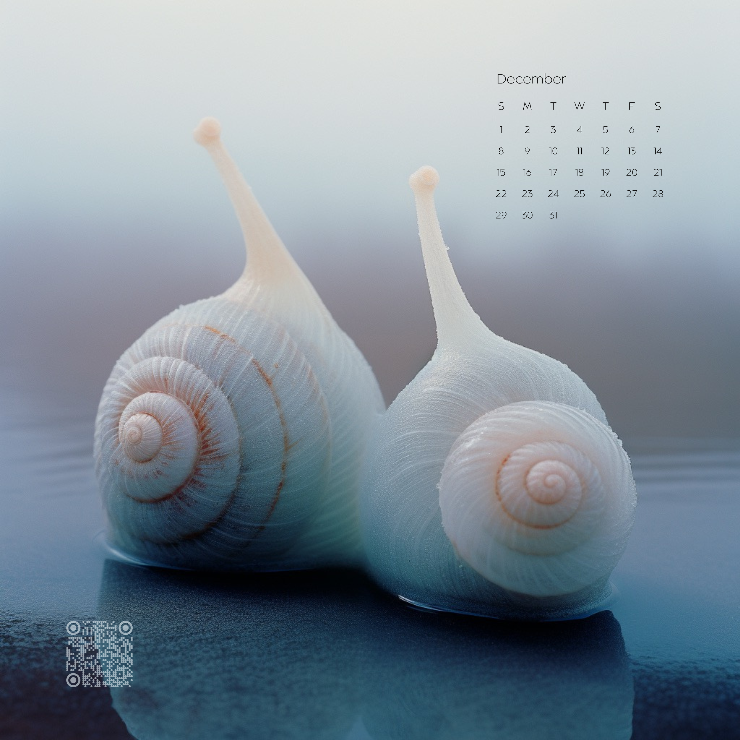 Rike Damel Calender 2024.png