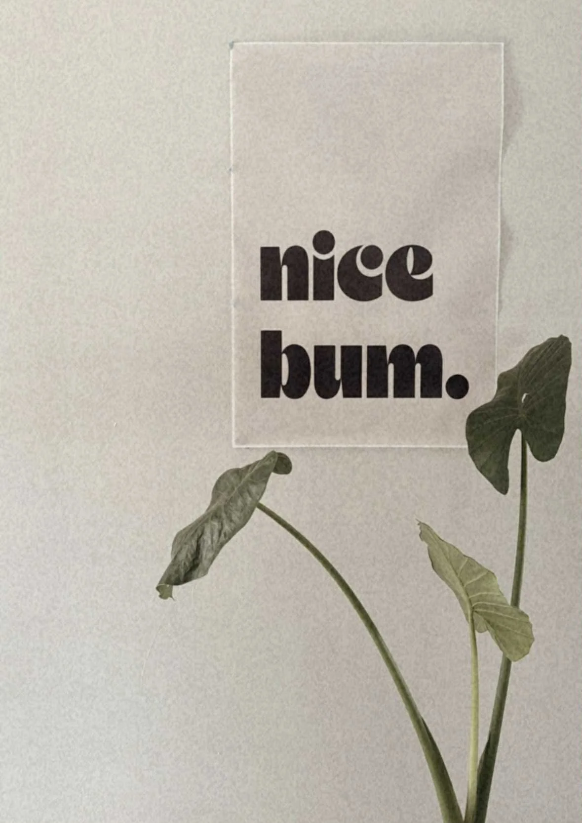 Thin Walls & Open Conversations: What We Can Learn From 20-Somethings About Talking Sex