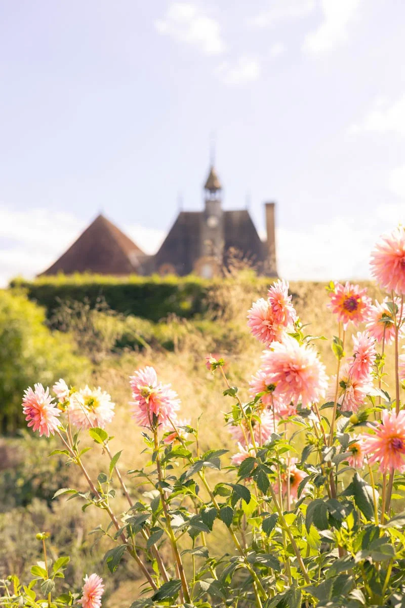 Photos jardins © Eleonore Wallet -10.jpg