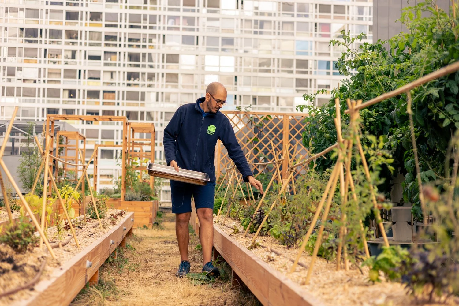 2609_Cueillette Urbaine Pulman  © Eléonore Wallet -07.jpg