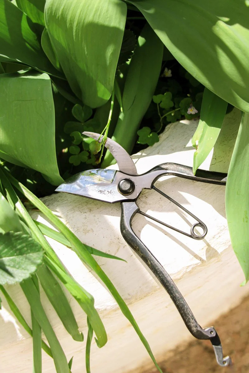 2604_Shooting Juliette jardinage © Eléonore Wallet -03.jpg