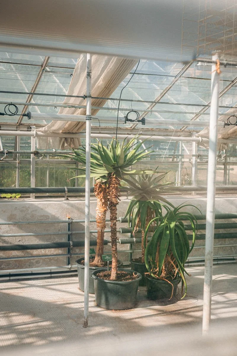 Photos jardins botaniques © Eleonore Wallet -01.jpg