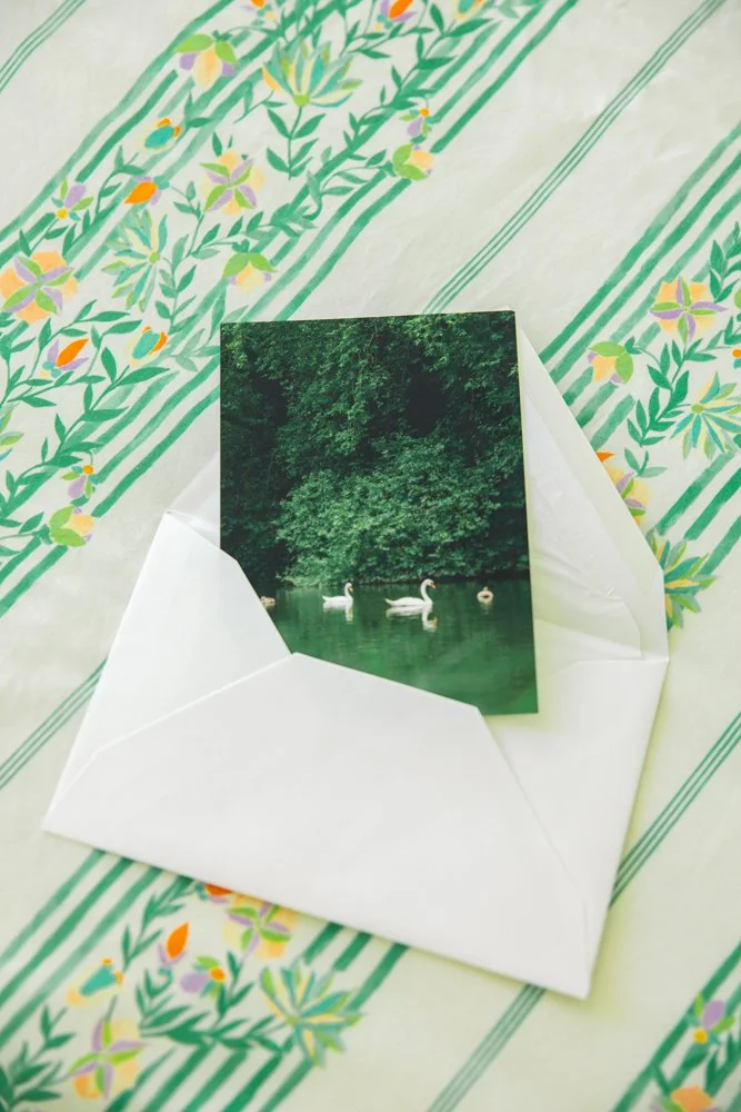 Lot de 5 cartes postales - collection Jardins