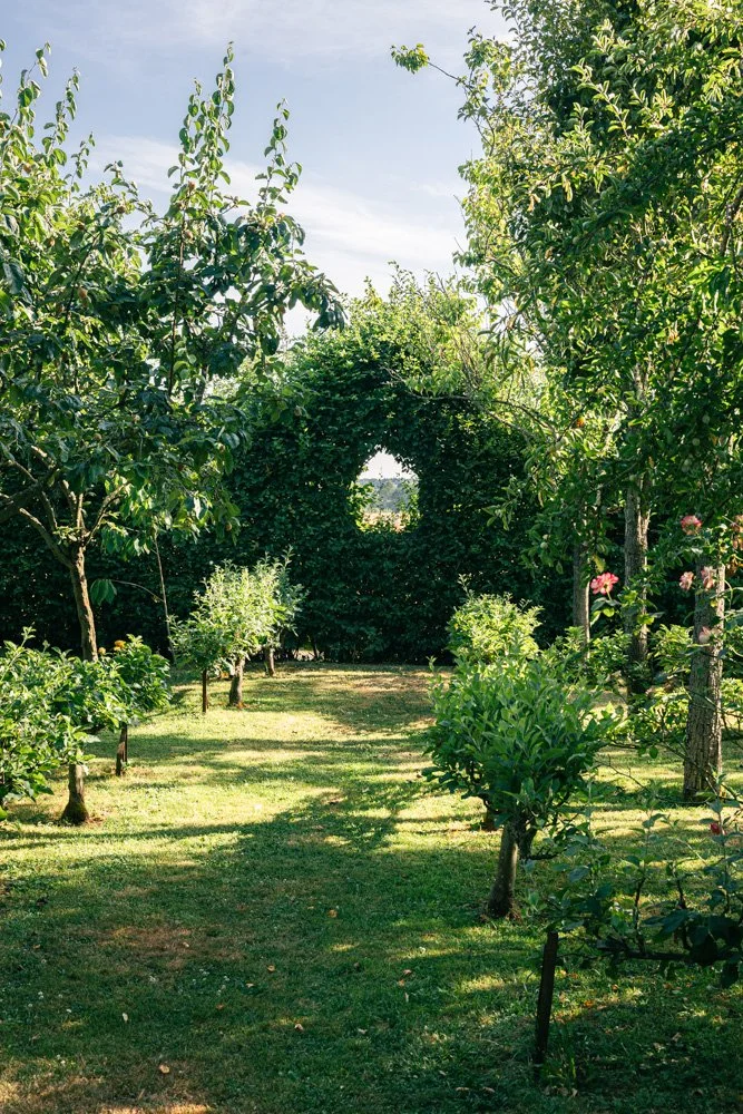 fenêtre-verdure-montperthuis-photographe-jardin