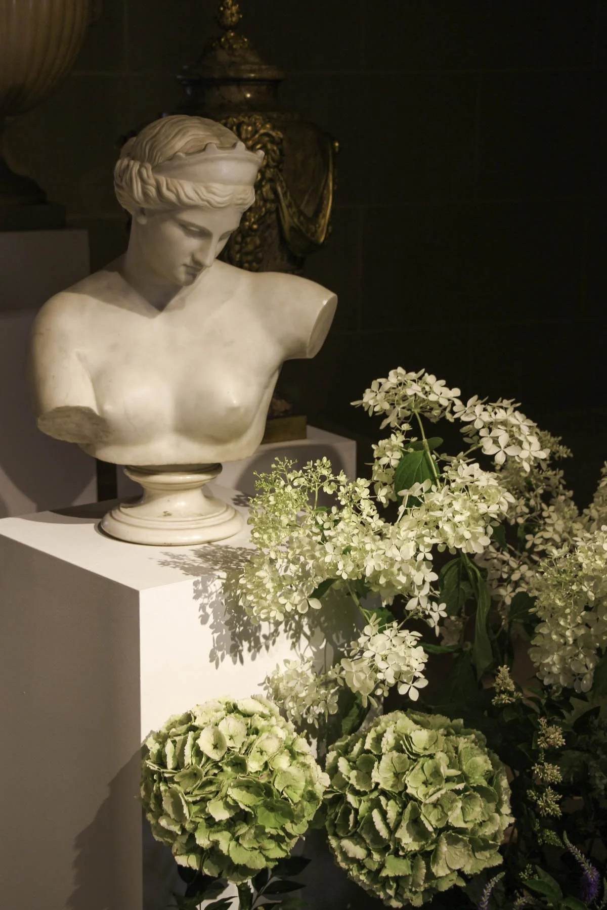 2206_Christies Pinto LD © Eléonore Wallet-06.jpg