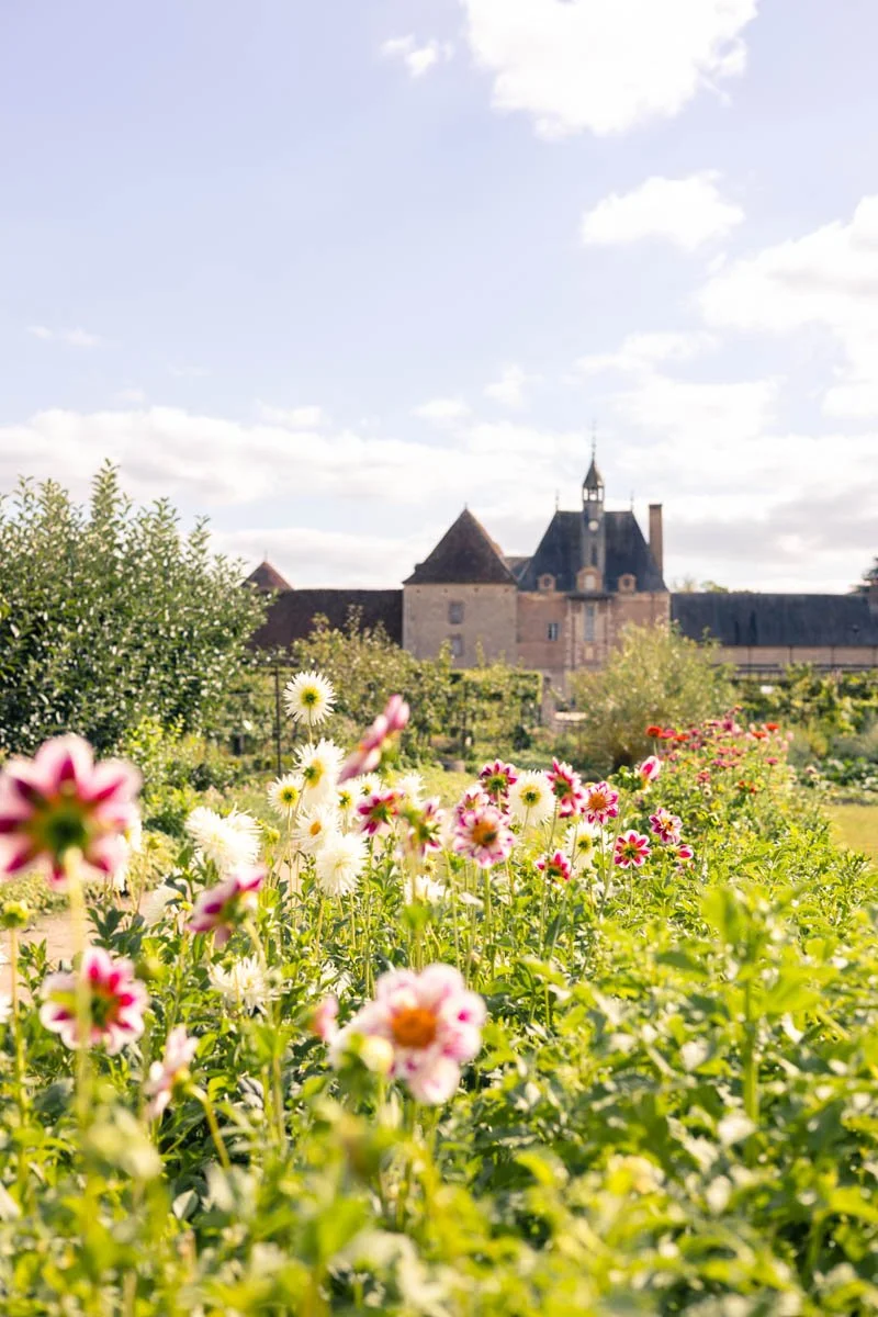 Photos jardins © Eleonore Wallet -11.jpg