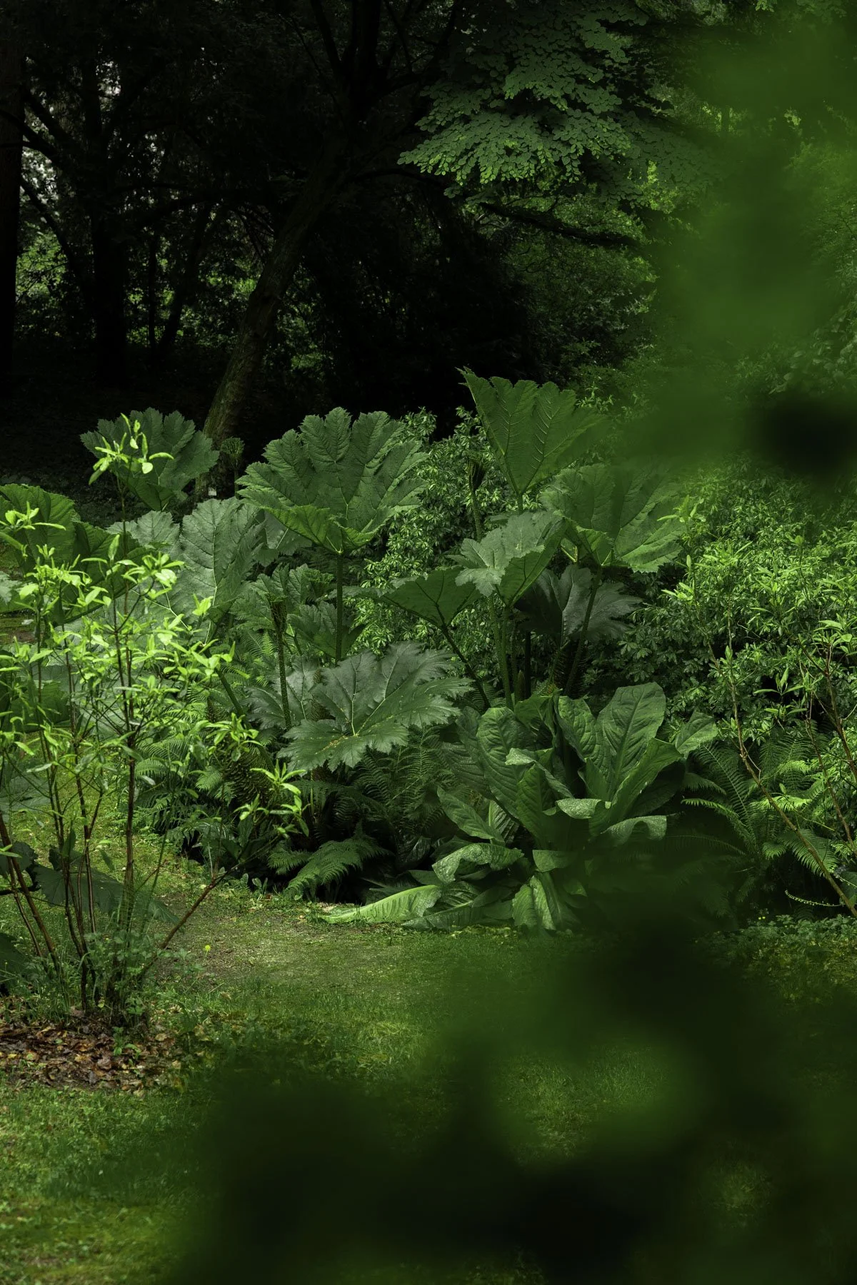 2506_Bois des Moustiers LD © Eléonore Wallet-25.jpg