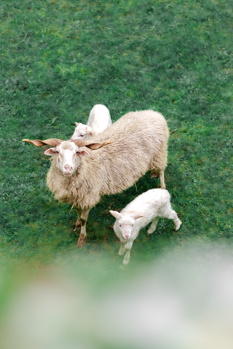 2412_Tournage MV-149.png