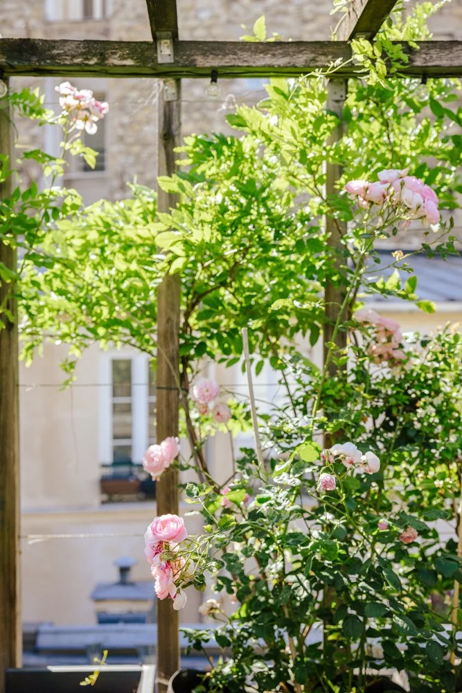 photographe pro jardin 