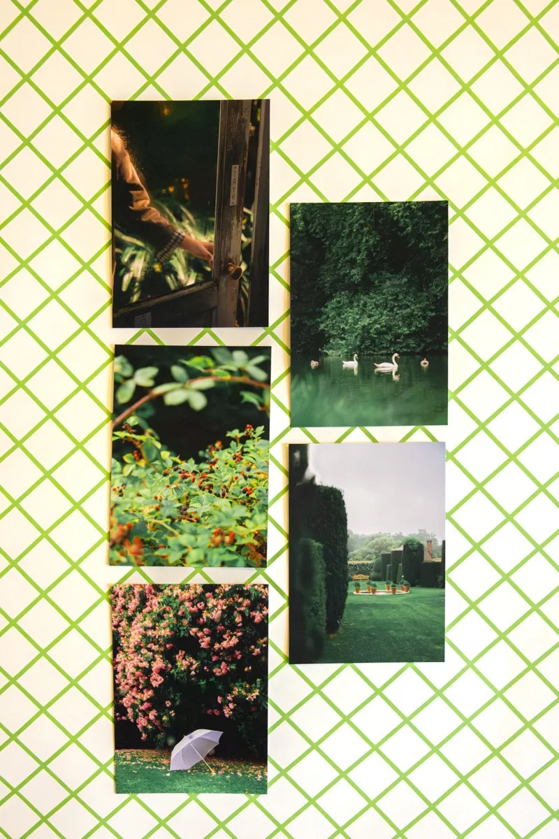 2604_photos lot CP © Eléonore Wallet -1.jpg